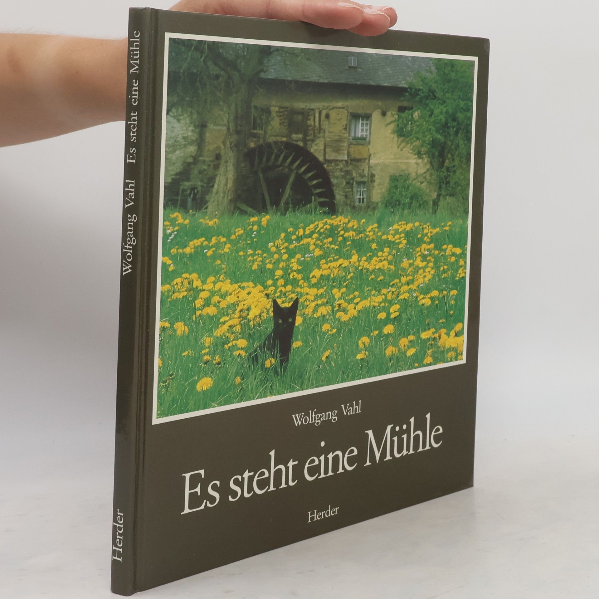 Wolfgang Vahl Es steht eine Mühle