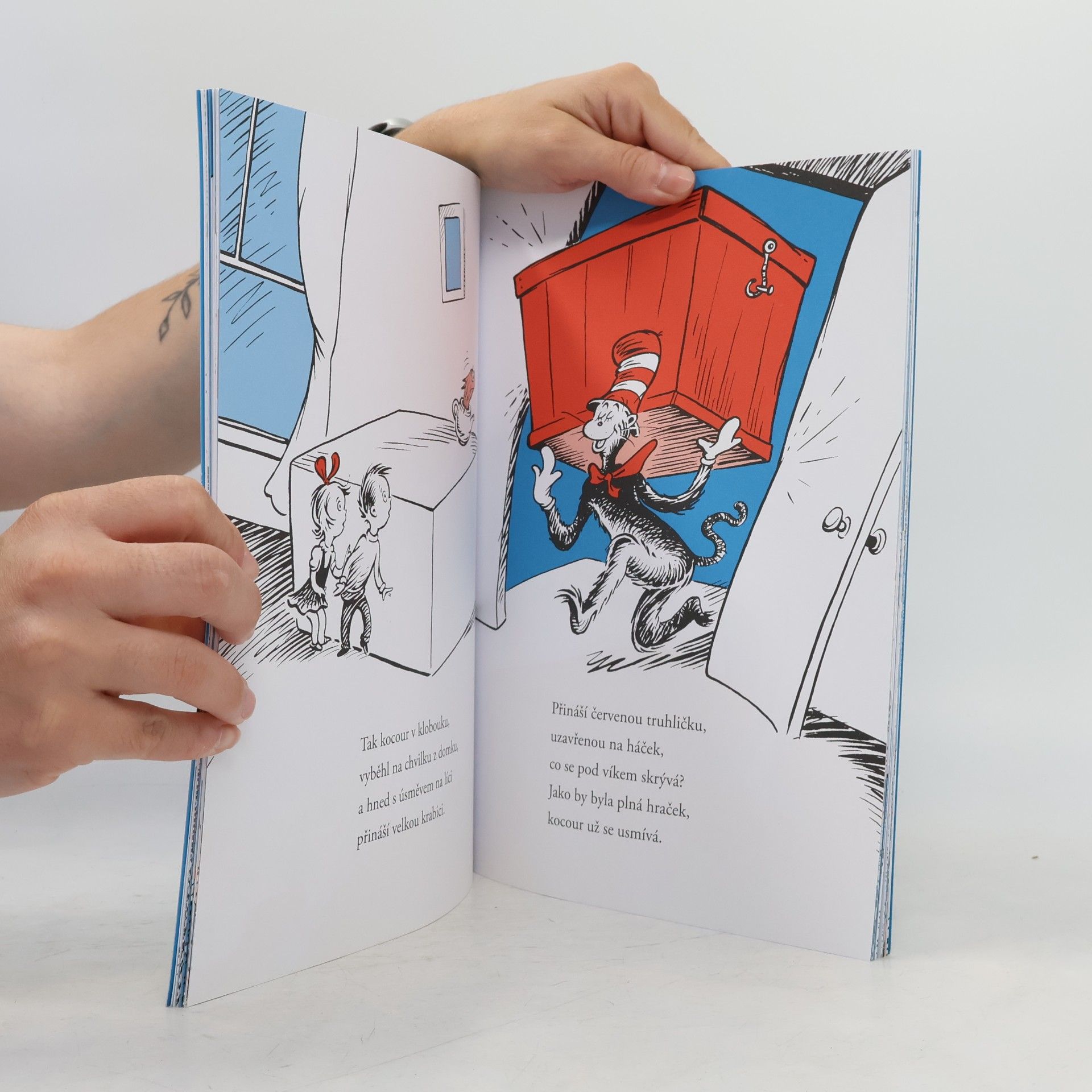 Dr. Seuss Kocour v klobouku