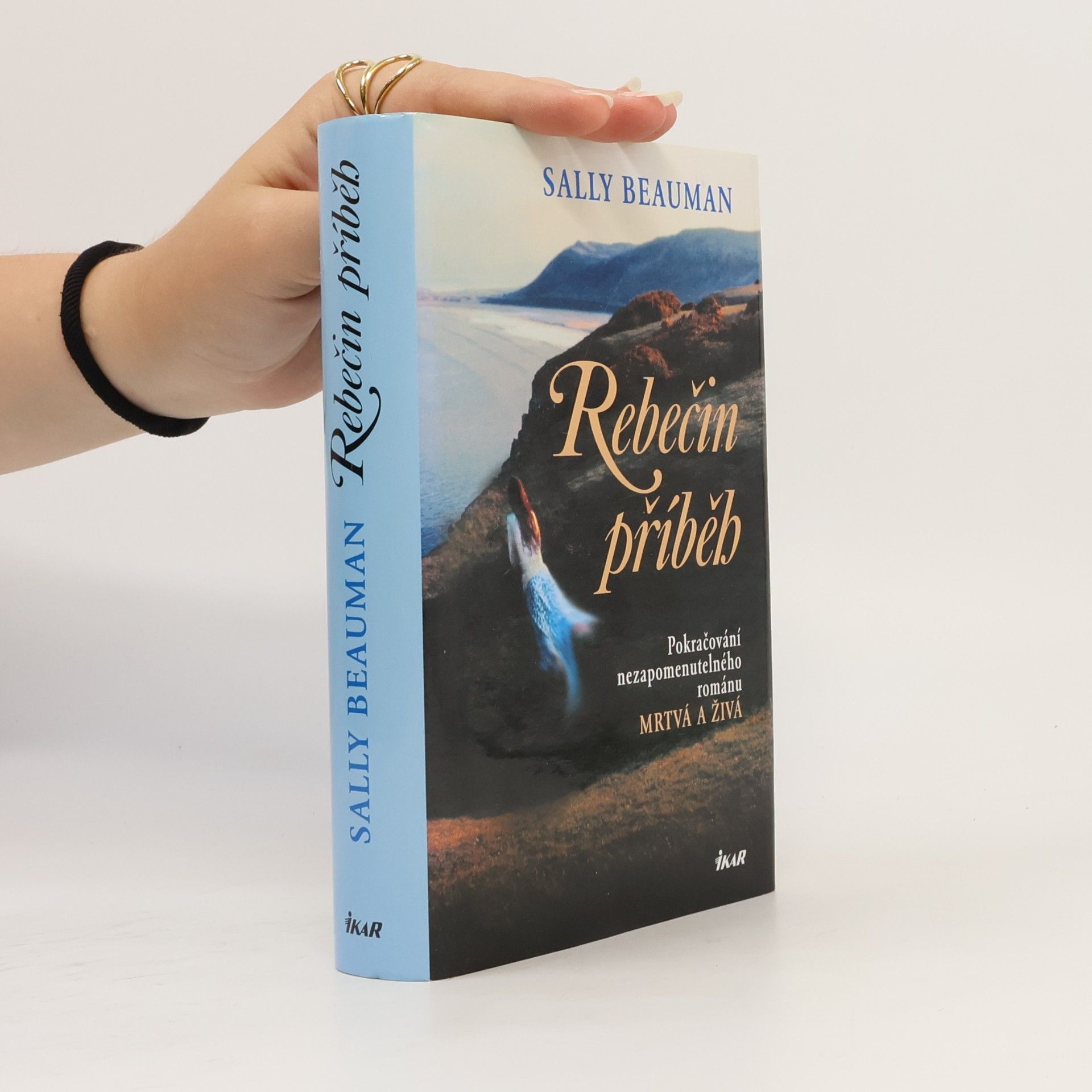 Sally Beauman Rebečin příběh