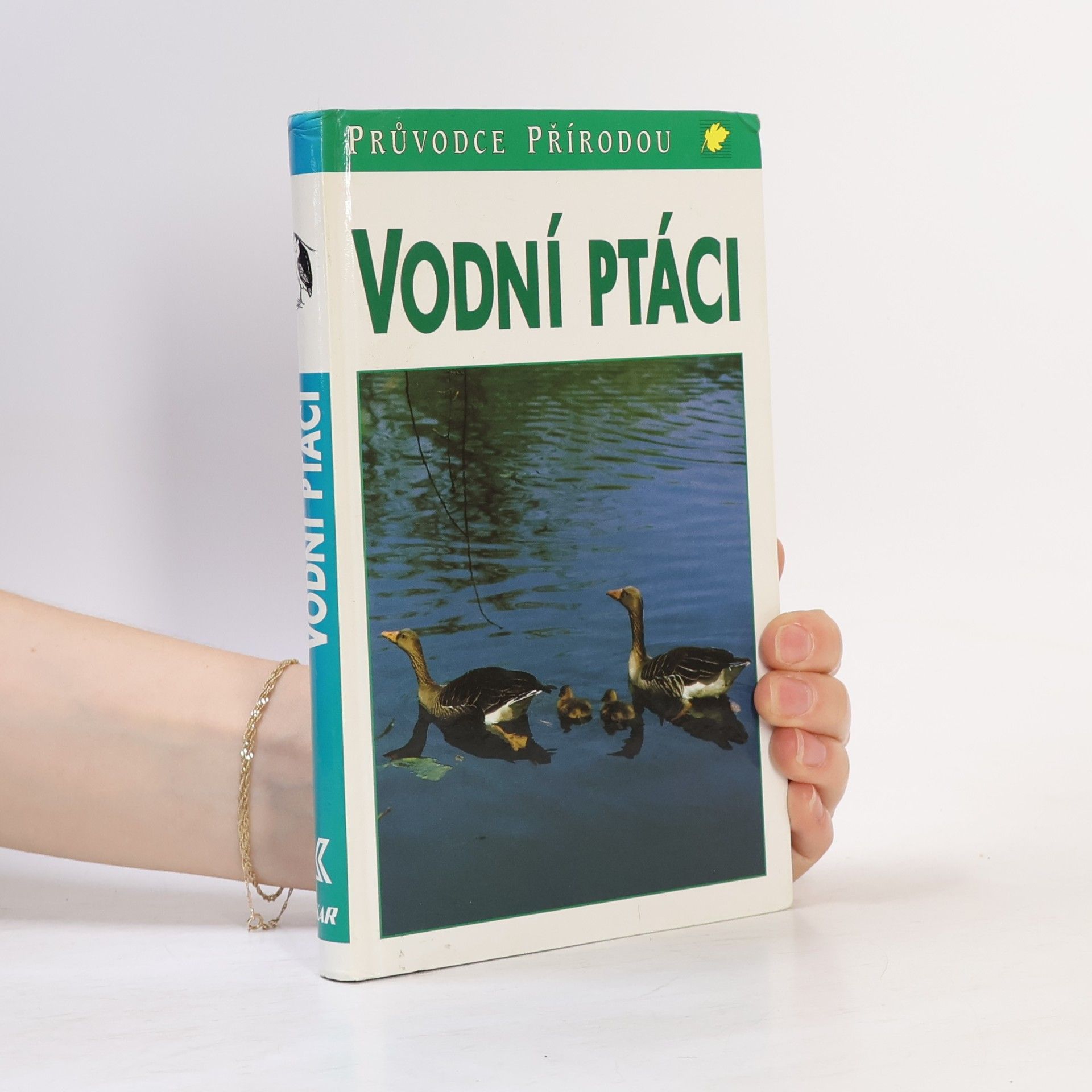 Vodní ptáci