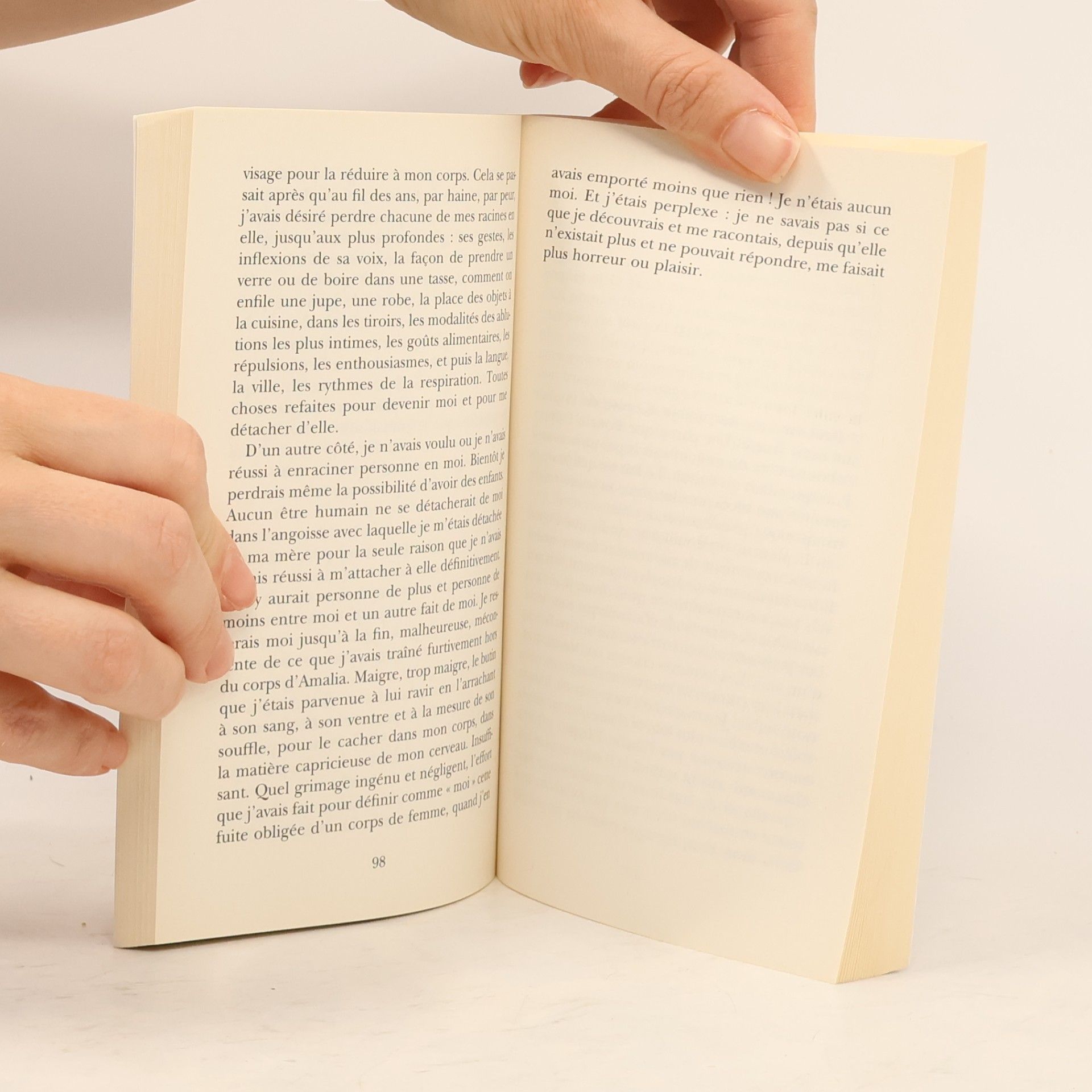 Elena Ferrante L'amour harcelant