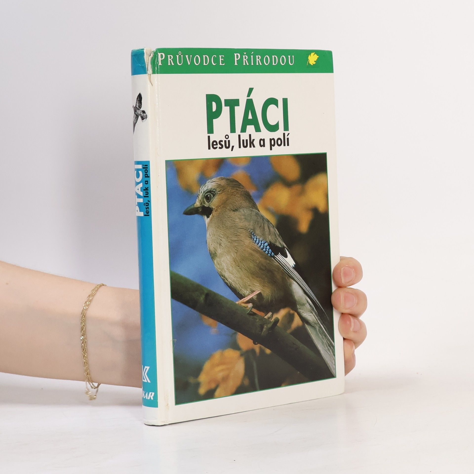 Frieder Sauer Ptáci lesů, luk a polí