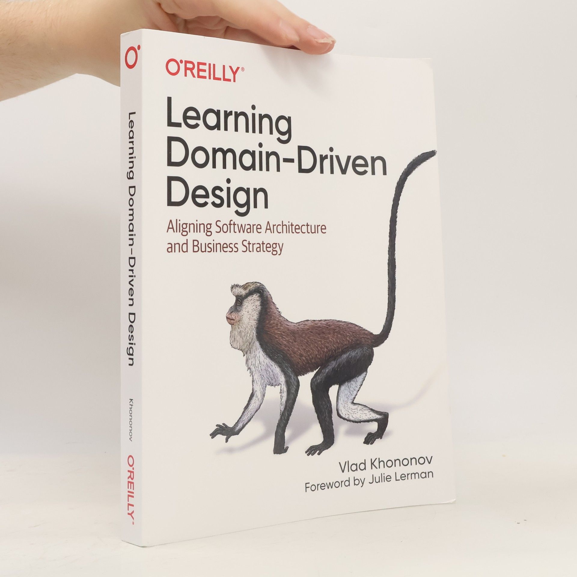 Julie Lerman Learning Domain-Driven Design