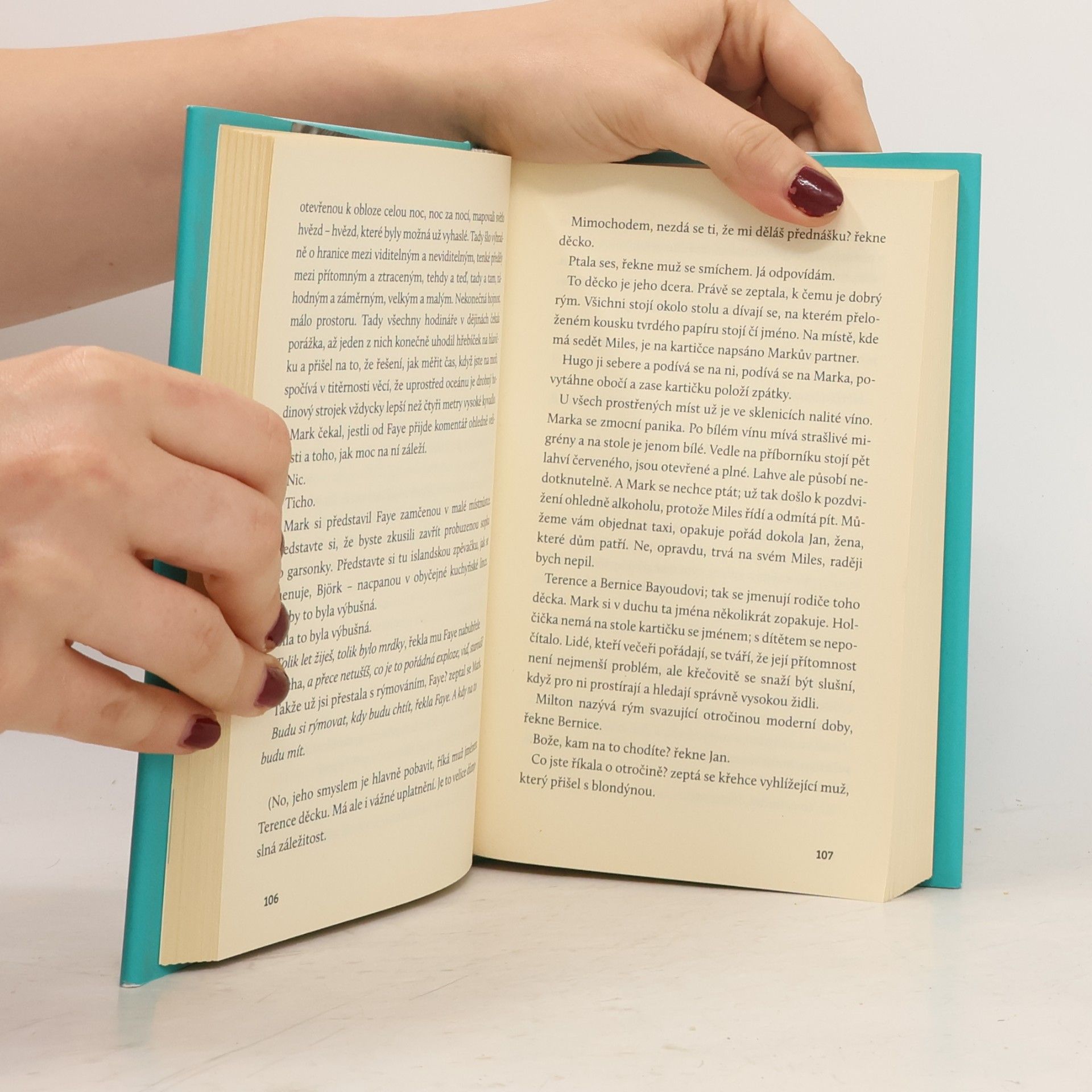 Ali Smith Tam někde za duhou