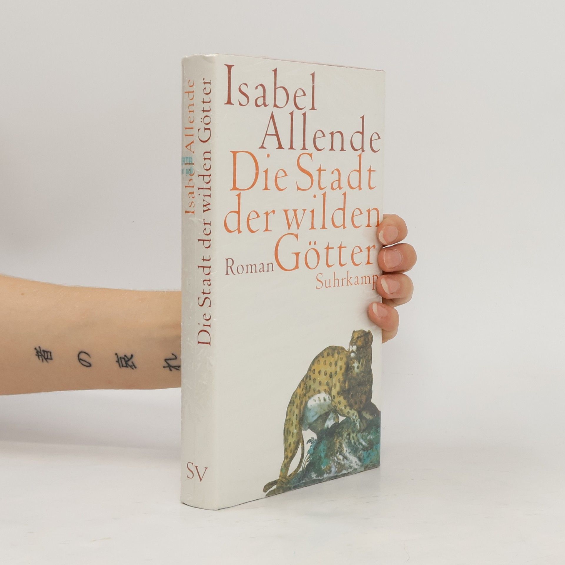 Isabel Allende Die Stadt der wilden Götter