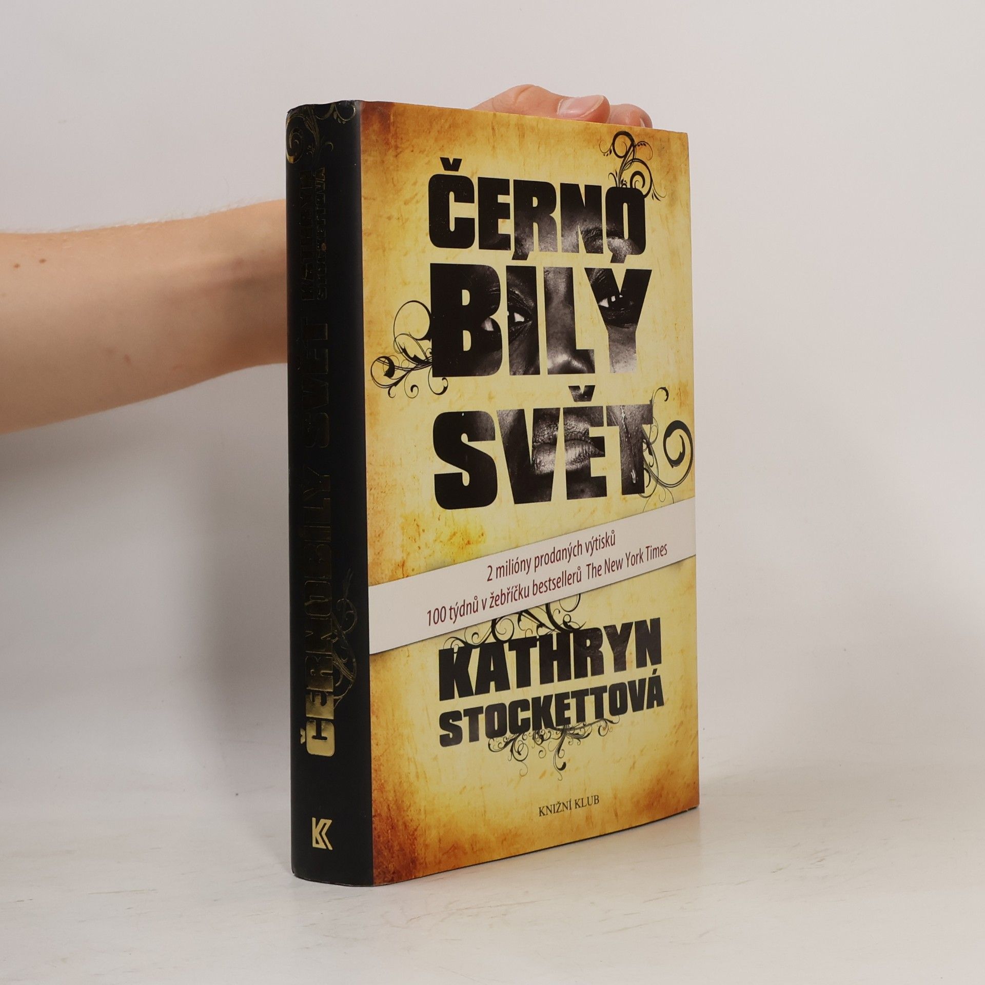 Kathryn Stockett Černobílý svět