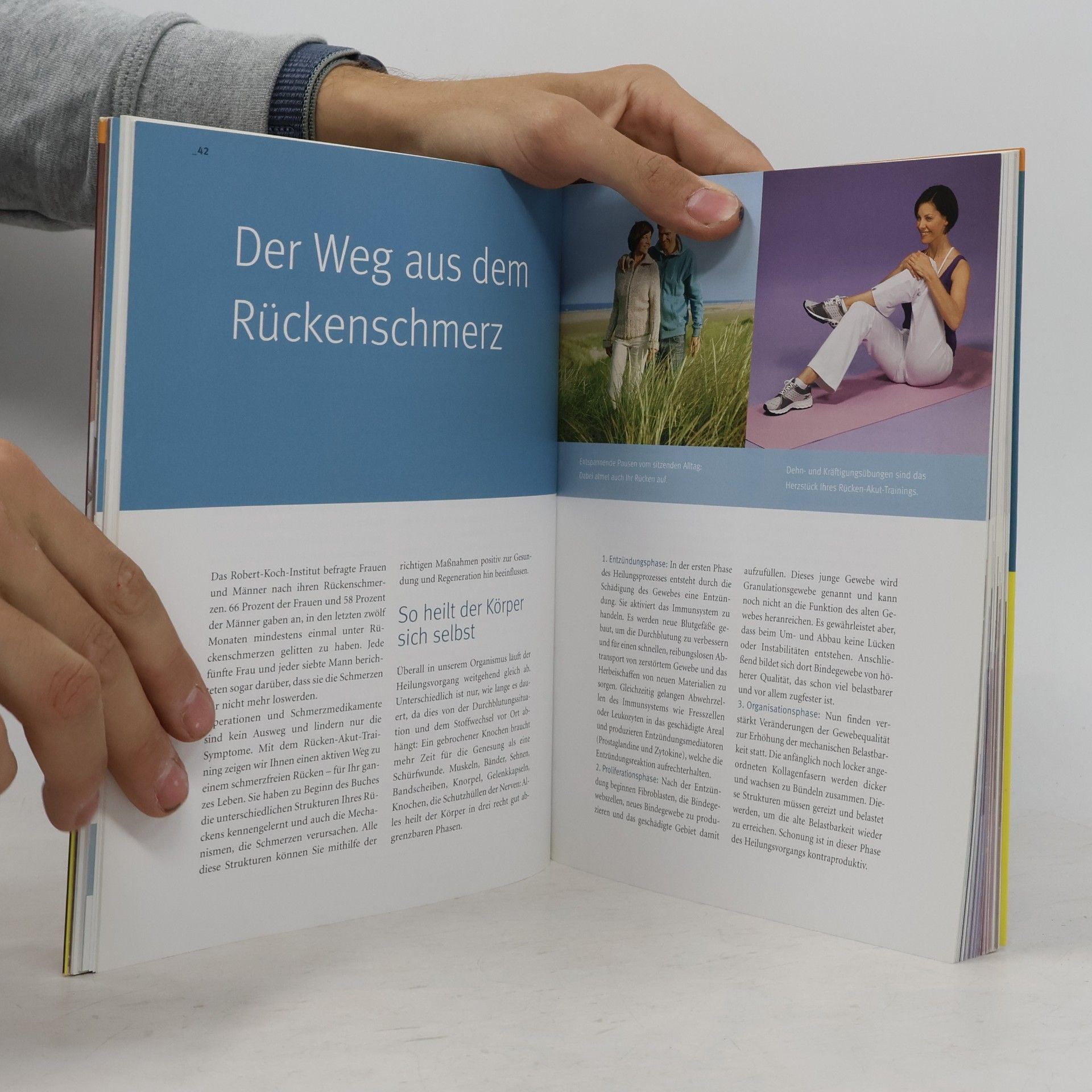 Ingo Froböse Das neue Rücken-Akut-Training