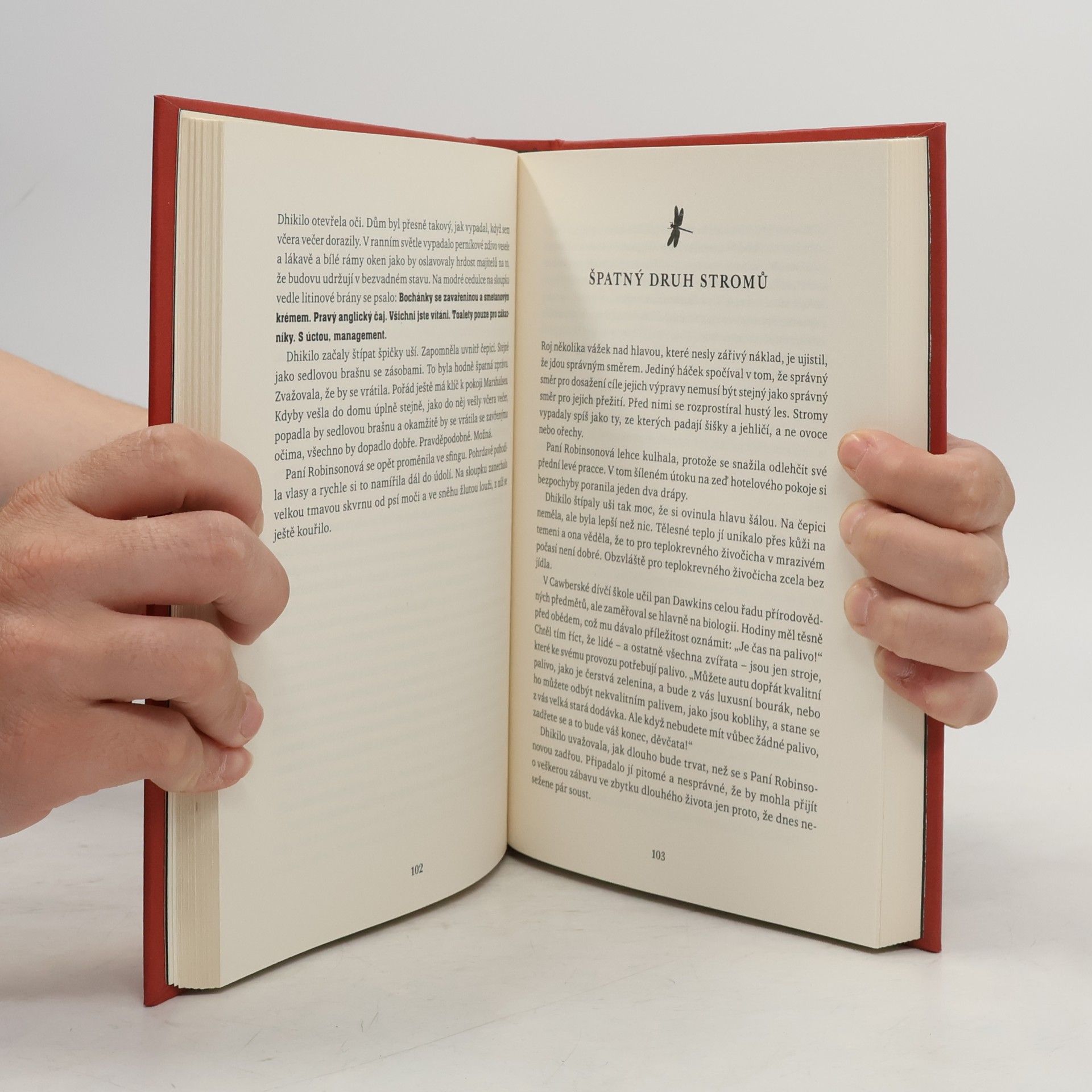 Michel Faber D, aneb, Příběh dvou světů