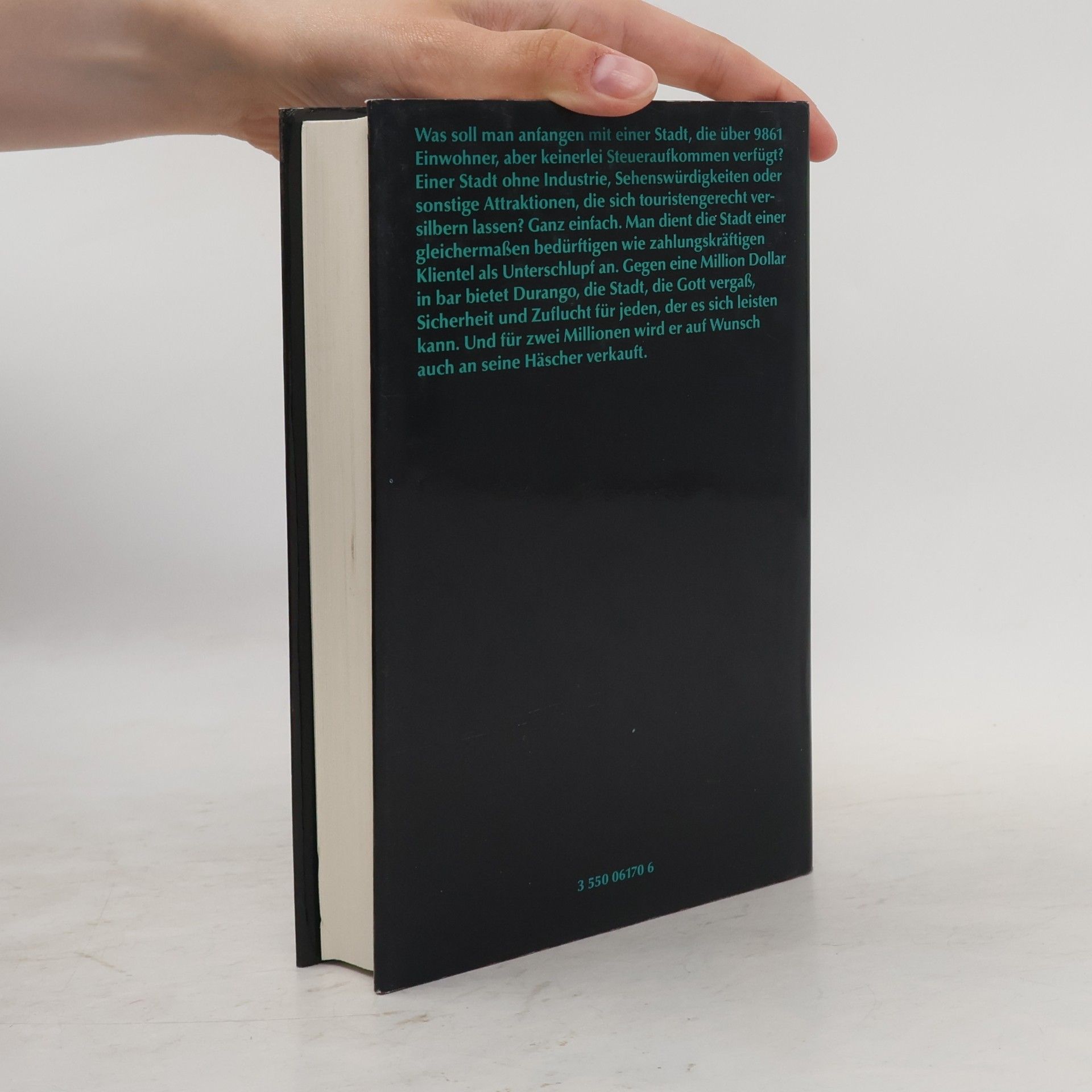 Ross Thomas Gottes vergessene Stadt