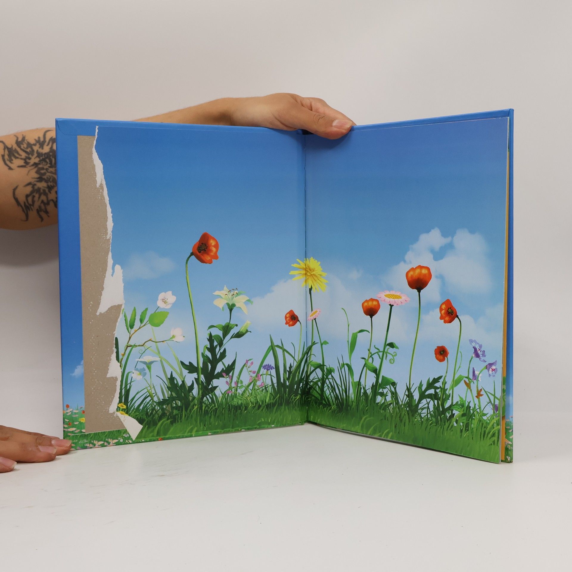 Florentine Specht Biene Maja Die Honigspiele - das Buch zum Film