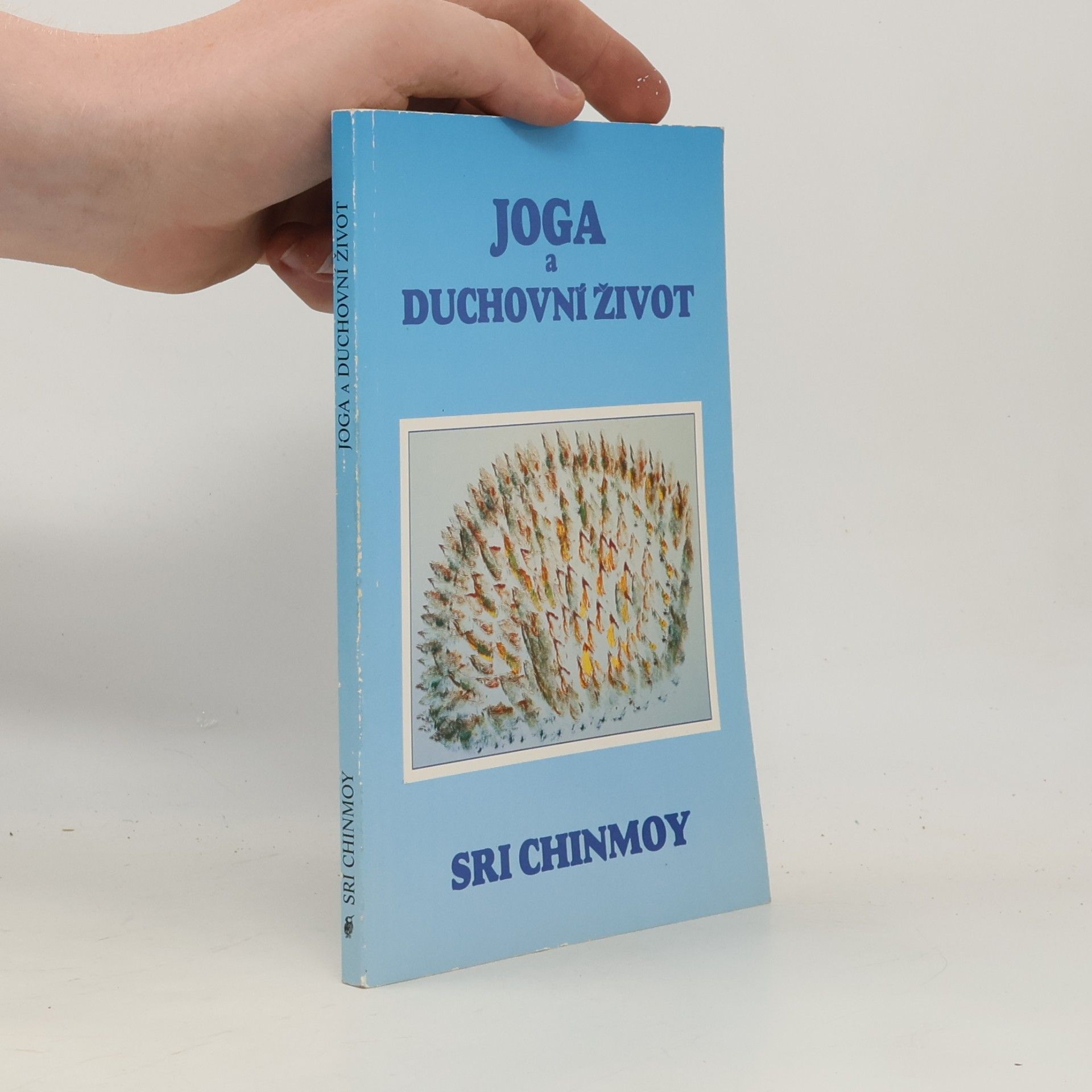 Sri Chinmoy Jóga a duchovní život: Cesta indické duše