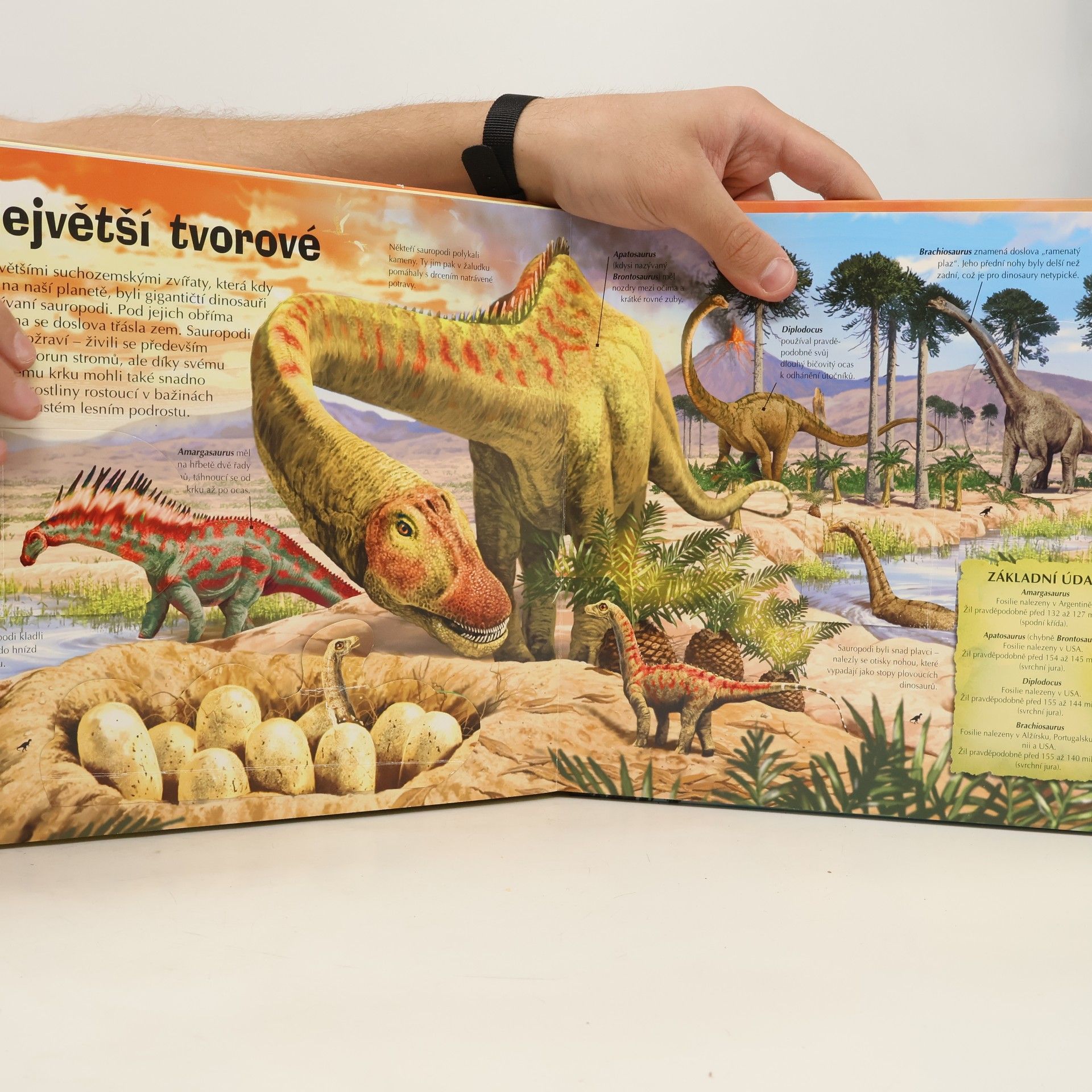 Various authors Dinosauři