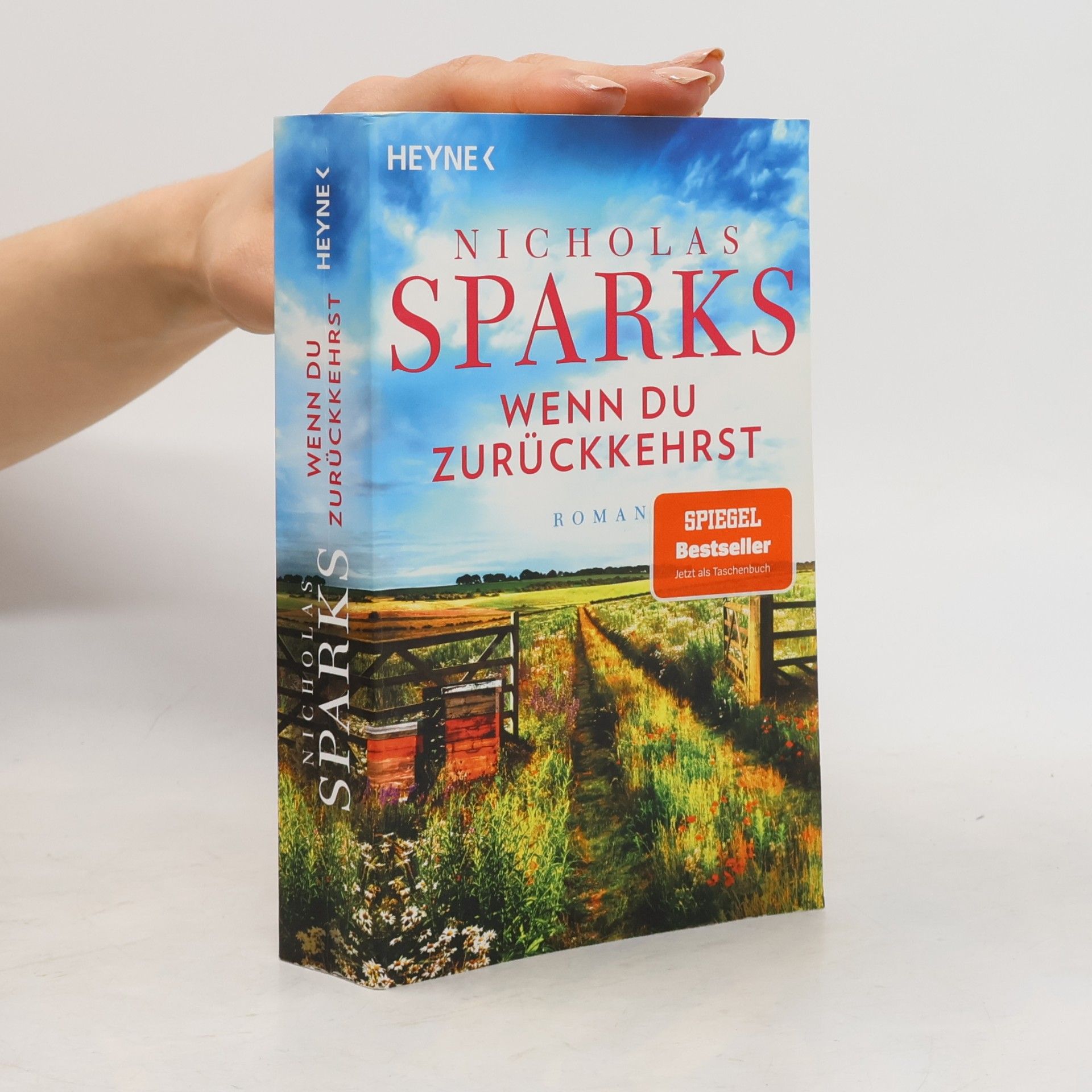 Nicholas Sparks Wenn du zurückkehrst