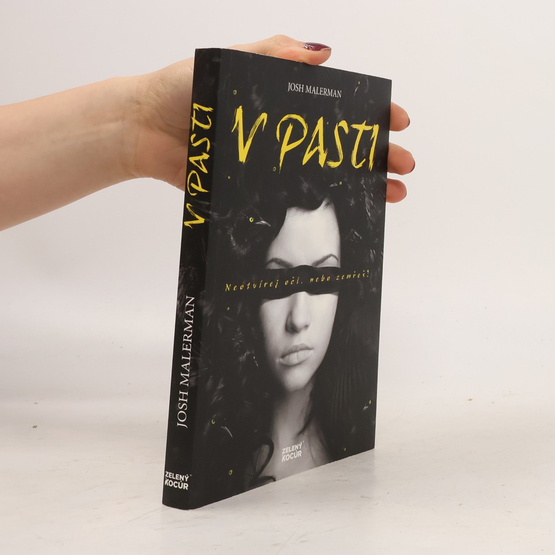 Josh Malerman V pasti