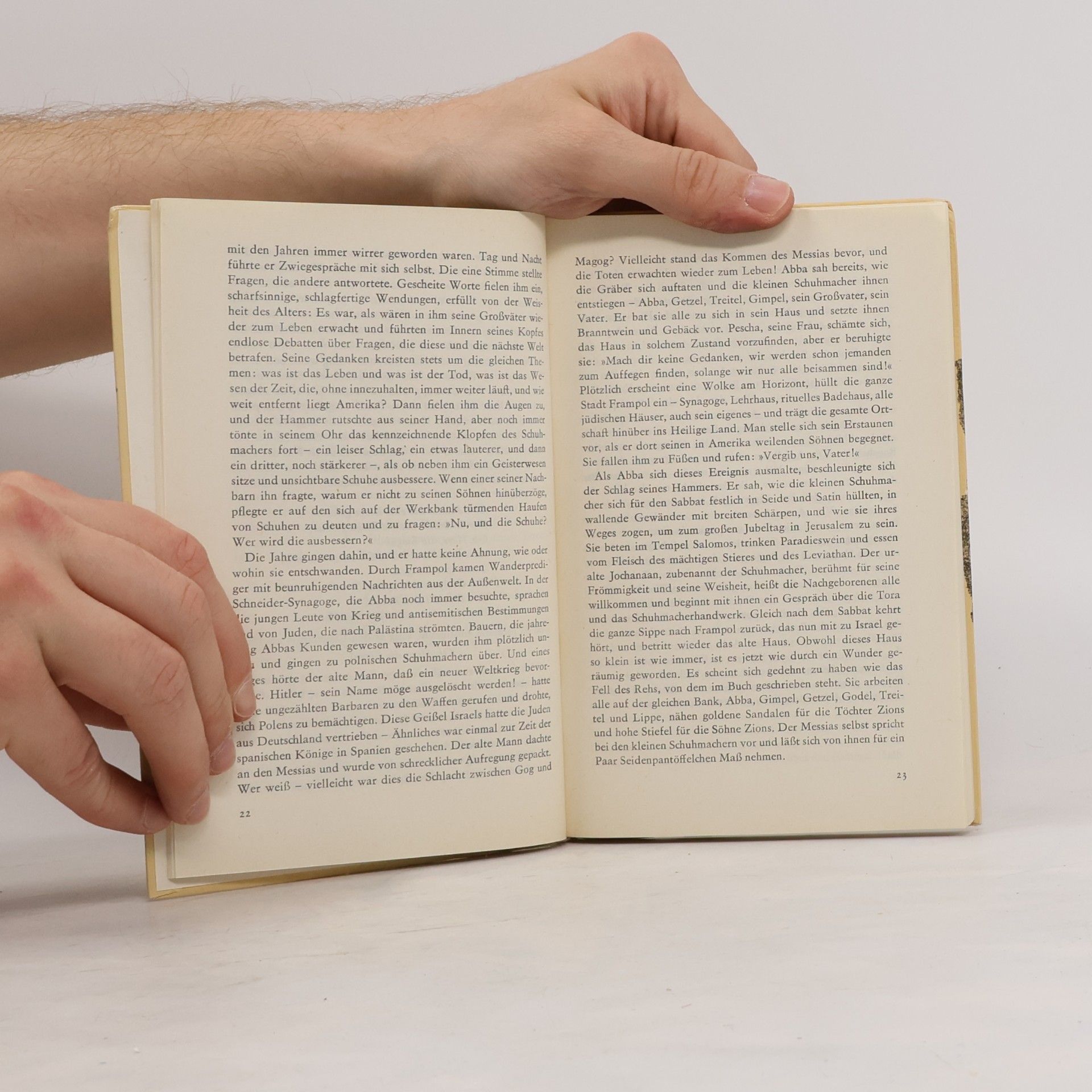 Isaac Bashevis Singer Der Spinoza von der Marktstrasse
