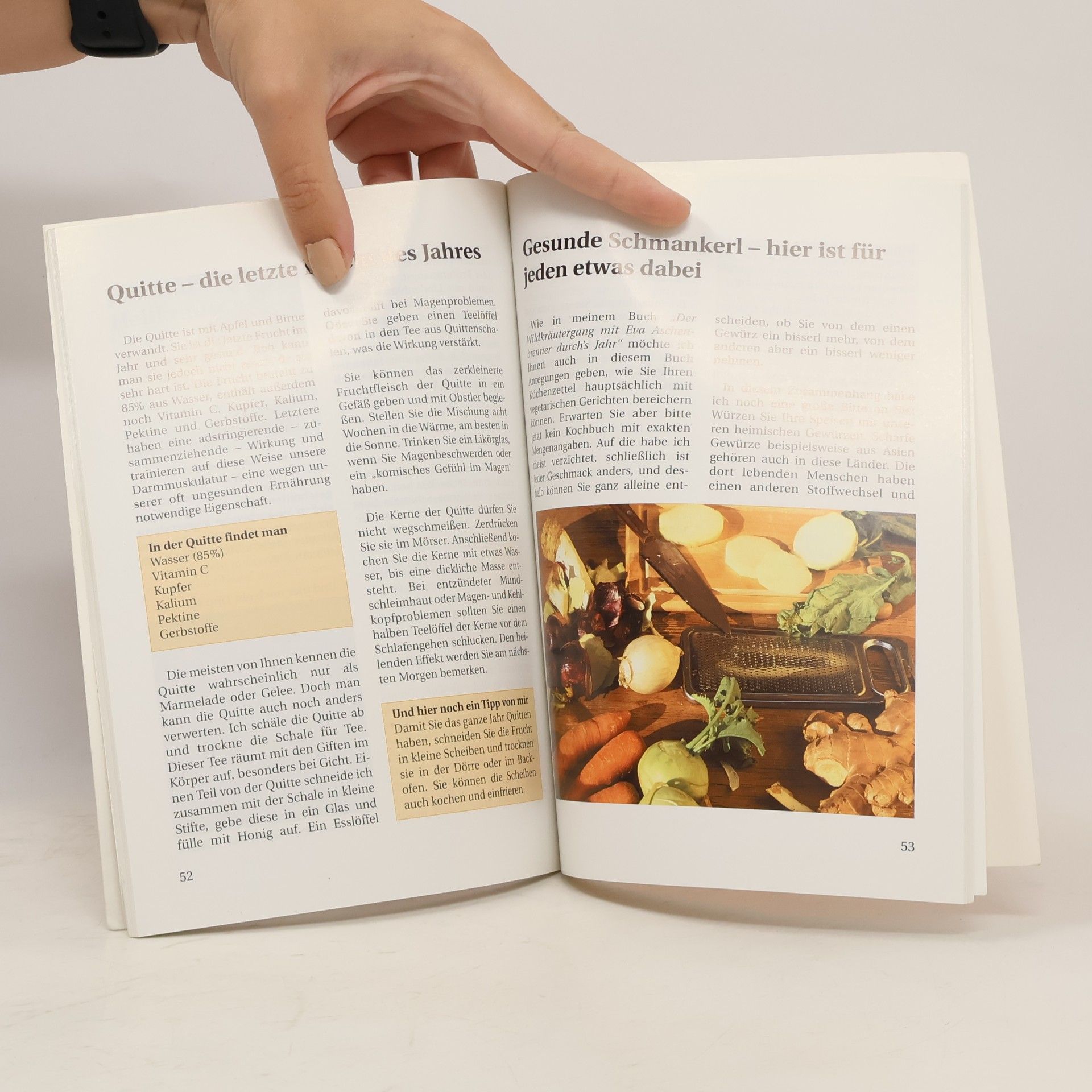 Eva Aschenbrenner Schmankerl- und Kräuterrezepte der vegetarischen Küche