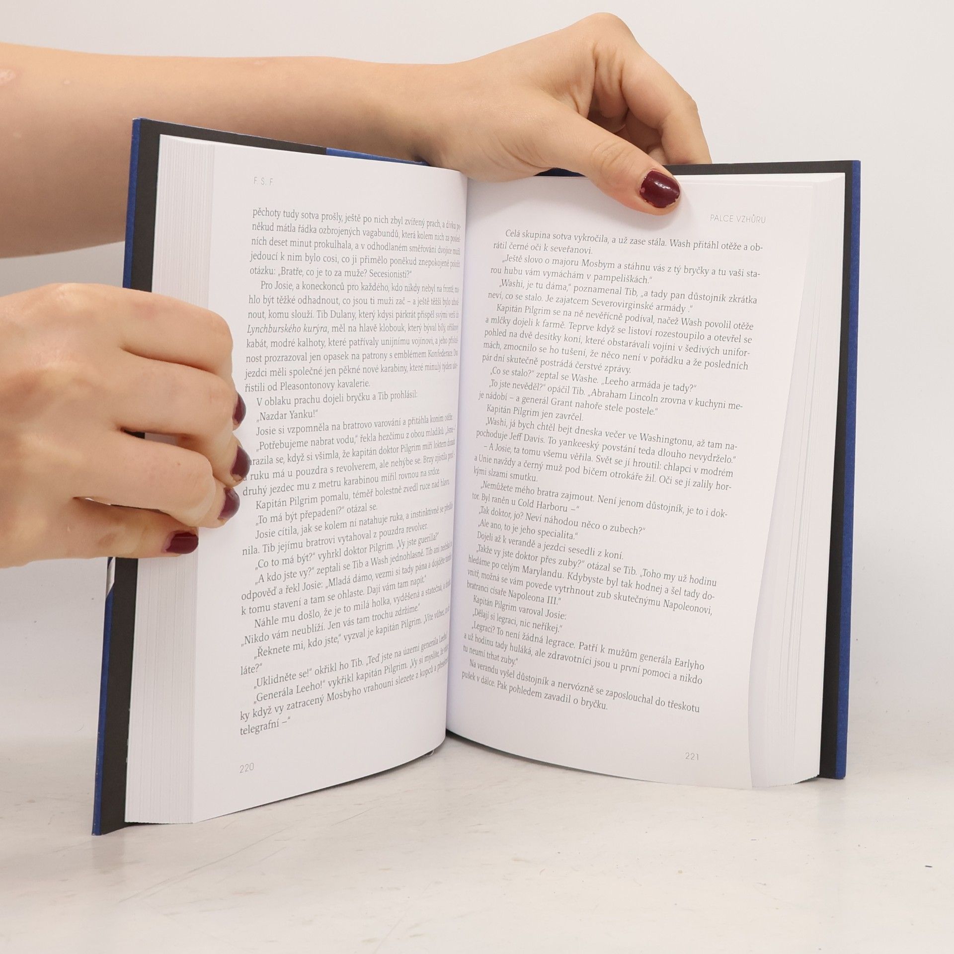 F. Scott Fitzgerald Za tebe bych život dal a jiné ztracené povídky