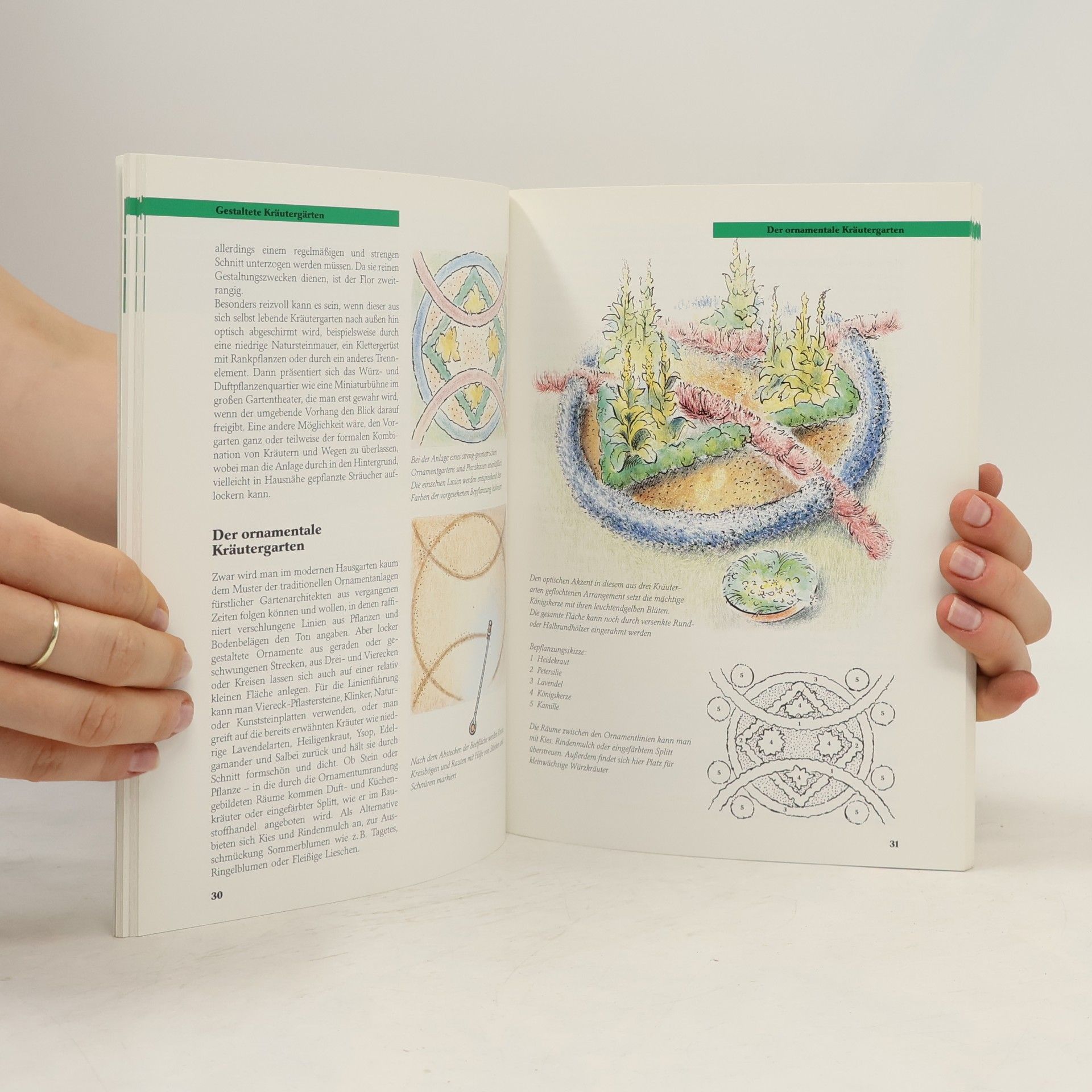 Autorenkollektiv Kräutergärten. Anlegen Gestalten Pflegen