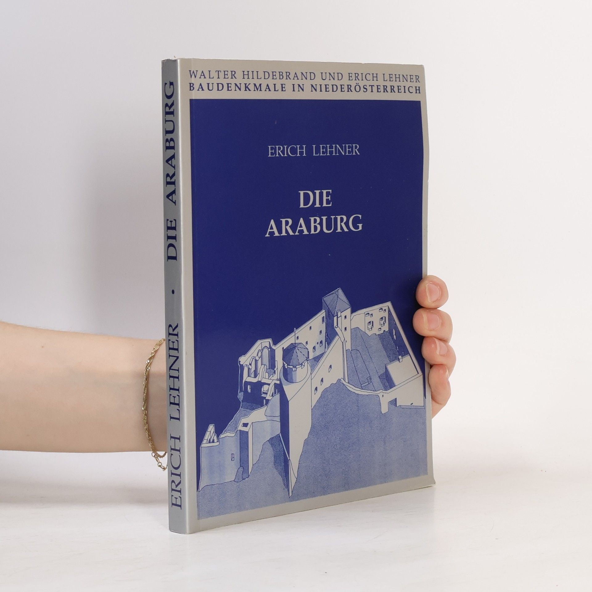 Die Araburg