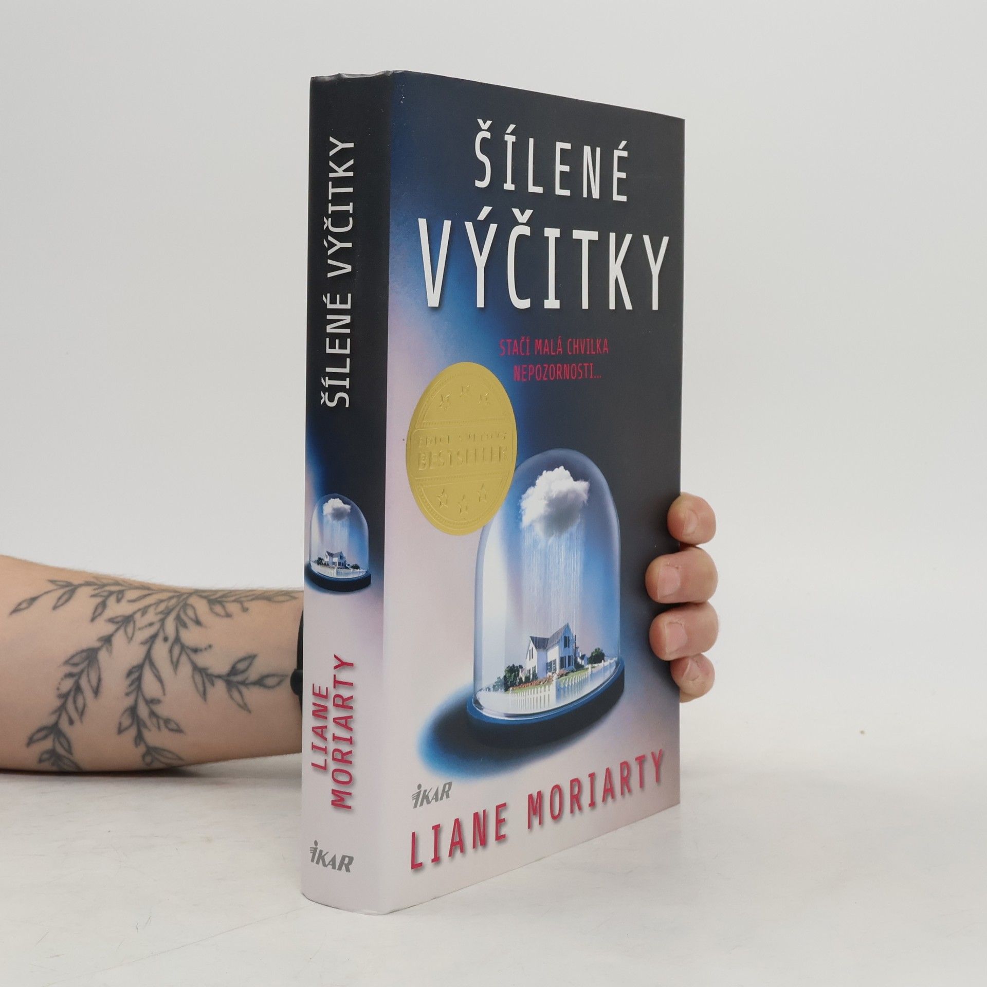 Liane Moriarty Šílené výčitky