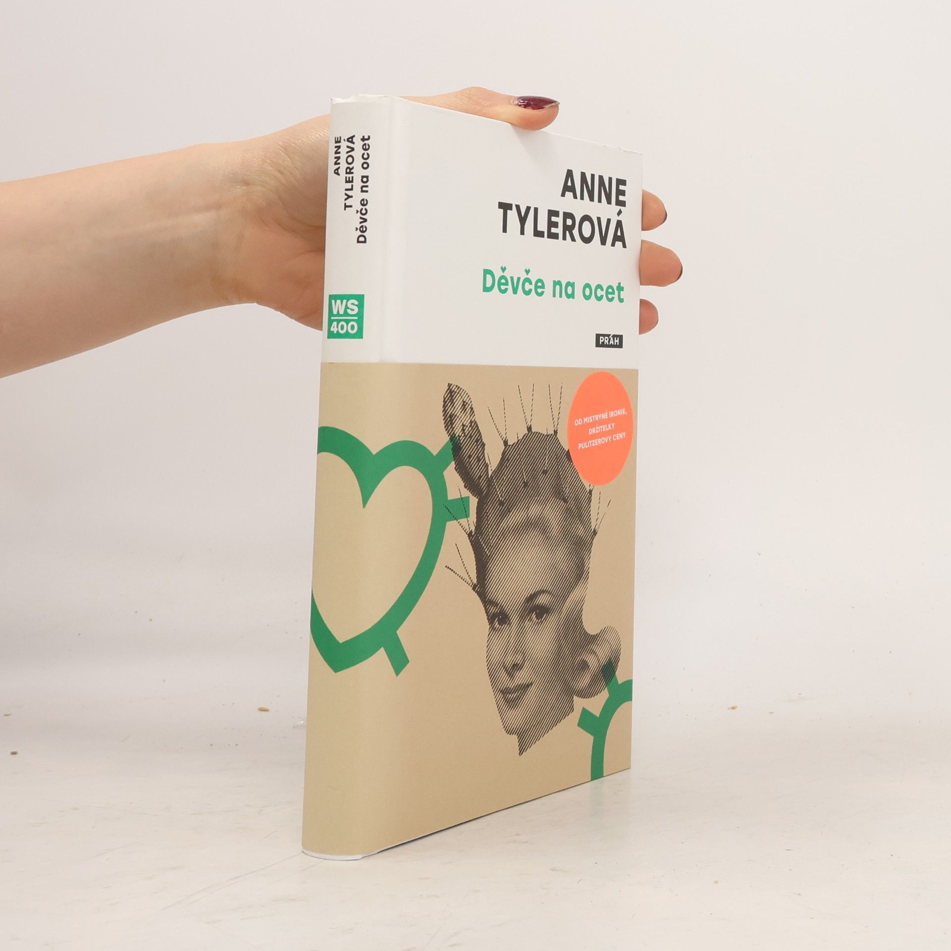Anne Tyler Děvče na ocet