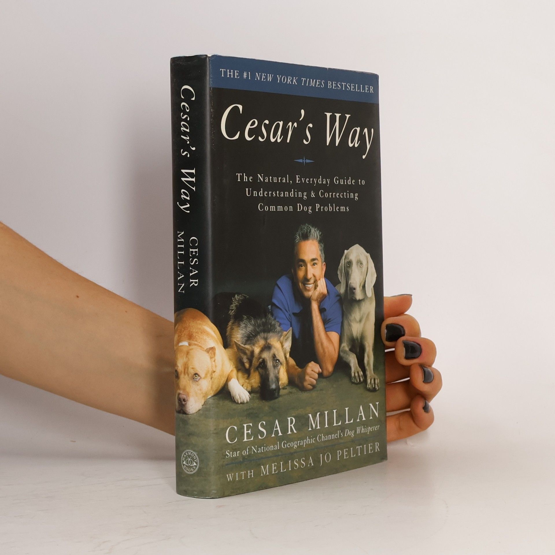 Cesar Millan Cesar's Way