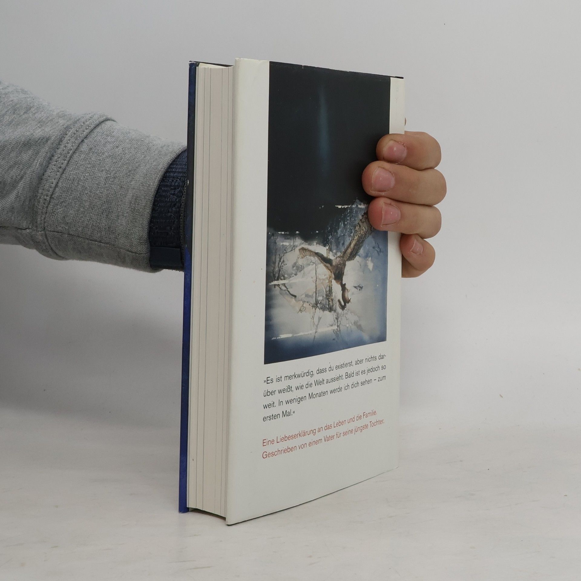 Karl Ove Knausgård Im Winter