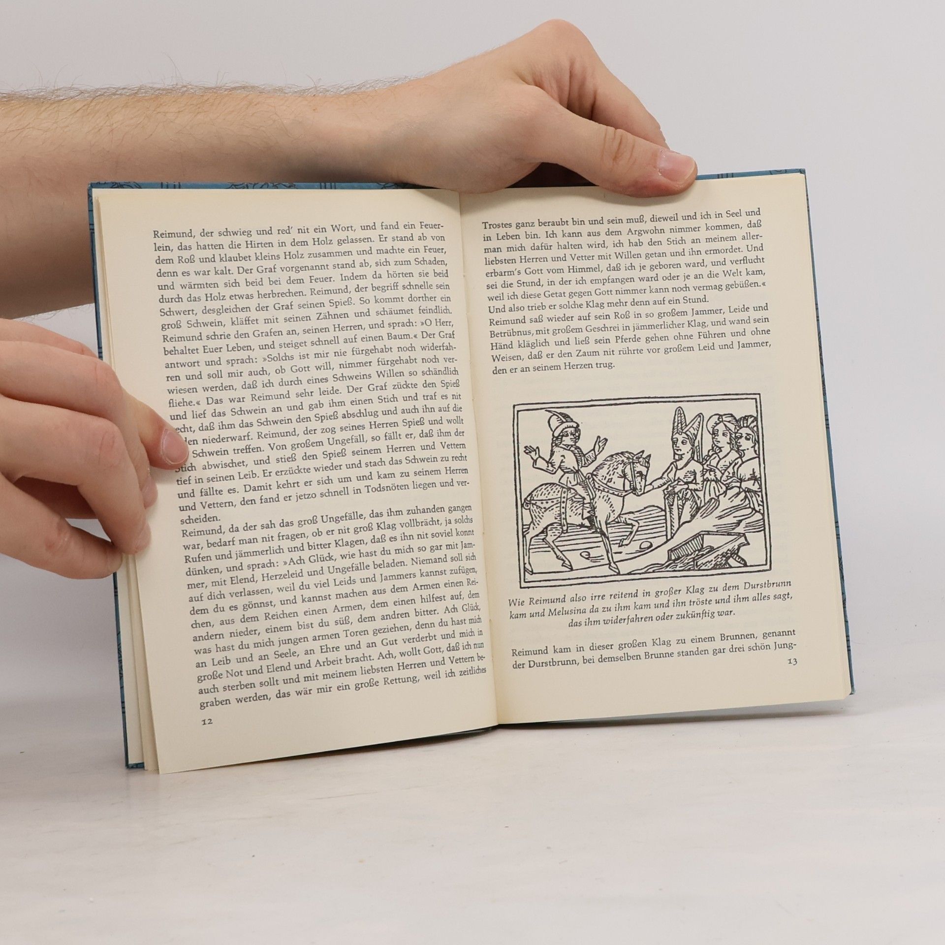 Thüring von Ringoltingen Die Historie von der schönen Melusina
