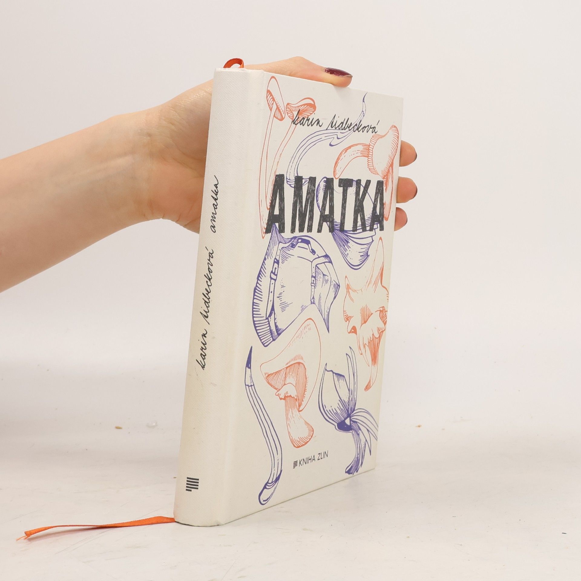 Karin Tidbeck Amatka