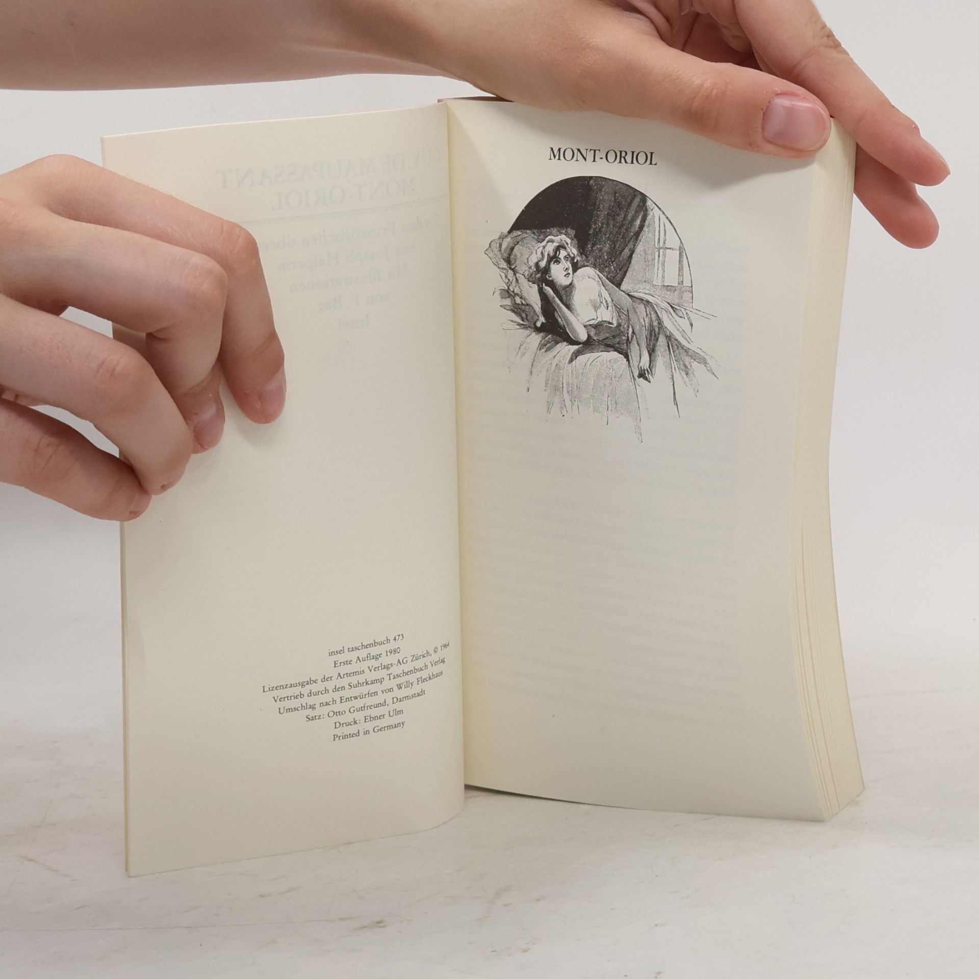 Guy de Maupassant Insel Taschenbuch - 473: Mont-Oriol