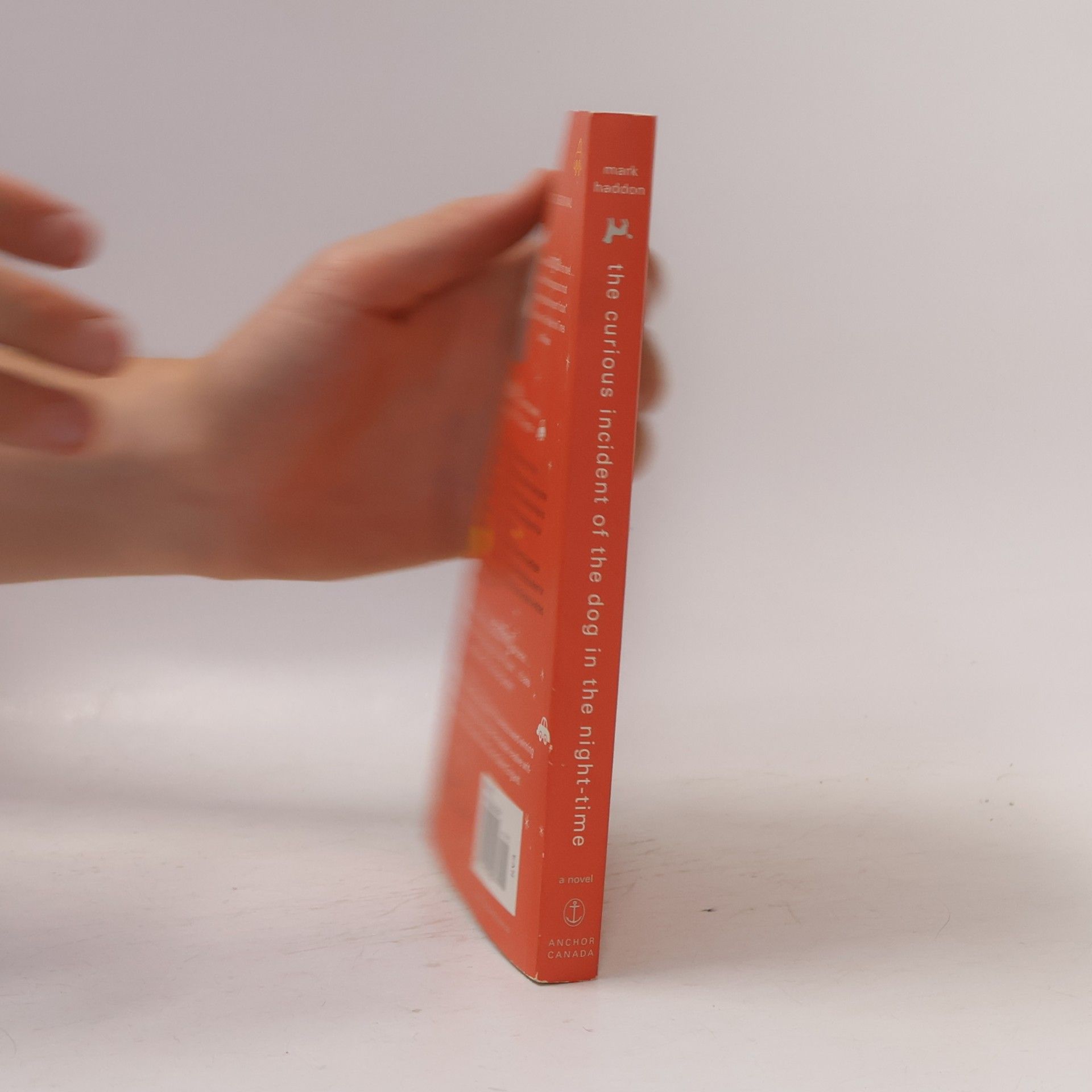 The Curious Incident of the Dog in the Night-Time