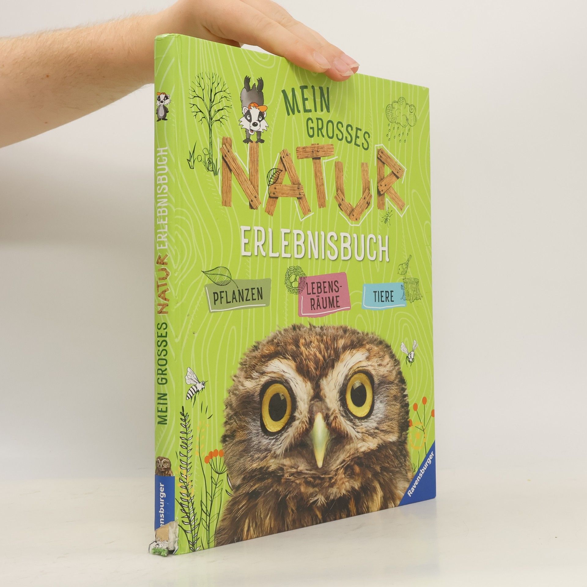 Angelika Lenz Mein großes Natur Erlebnisbuch