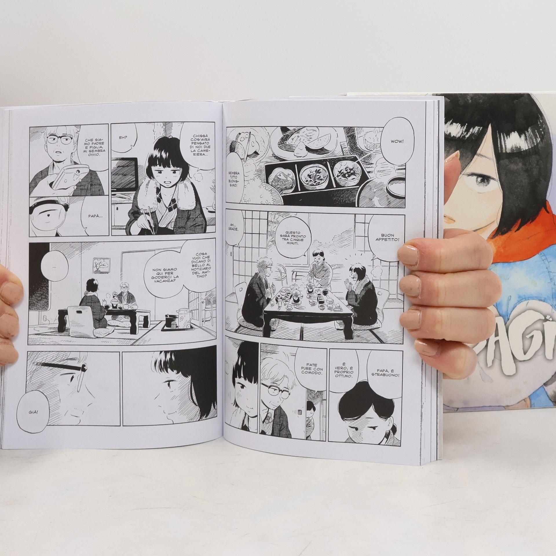 Matteo Cremaschi Randagi. Nora to zassou. Collection box (Vol. 1-4)