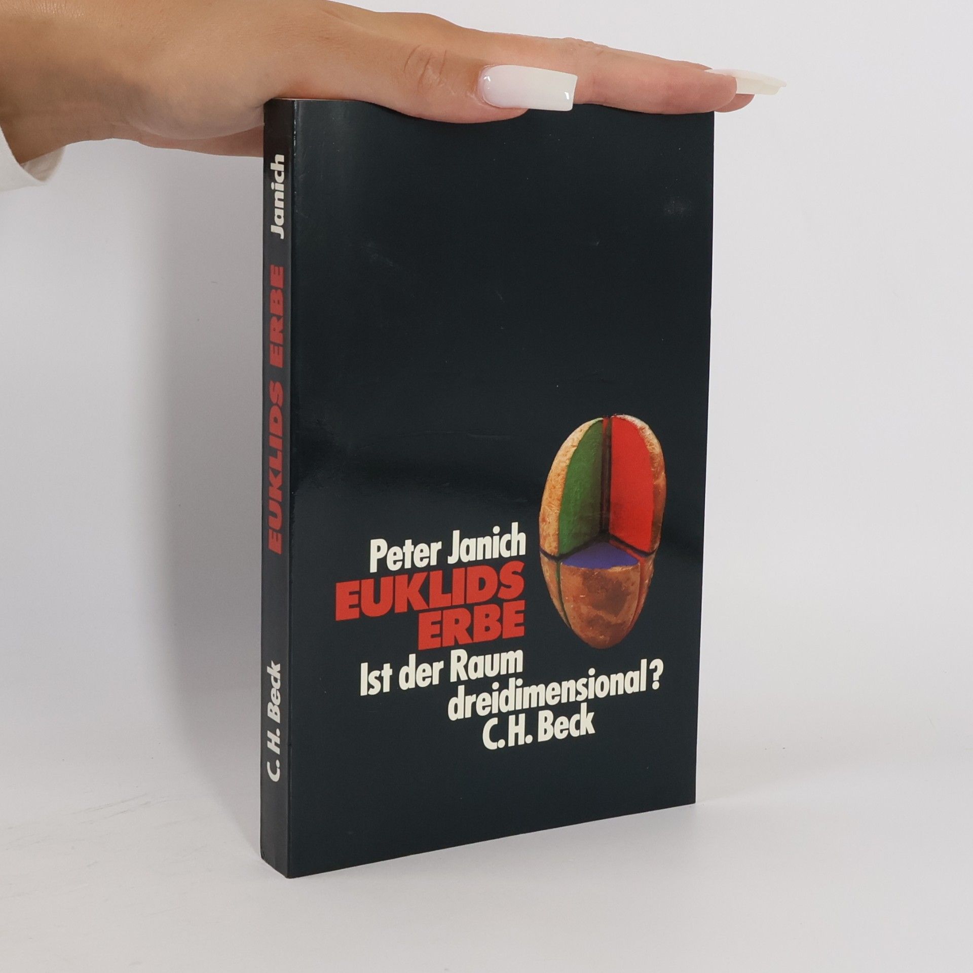 Peter Janich Euklids Erbe