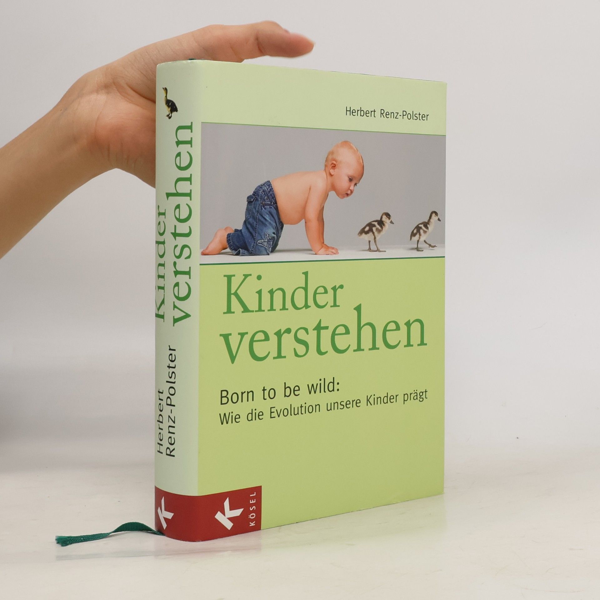 Herbert Renz-Polster Kinder verstehen