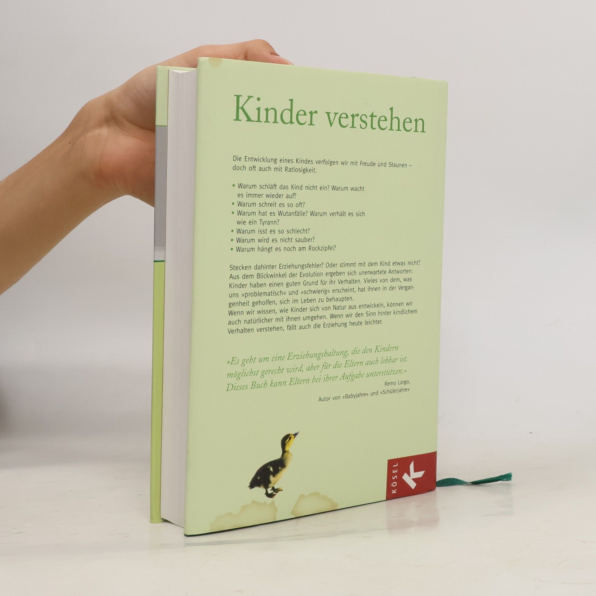 Herbert Renz-Polster Kinder verstehen