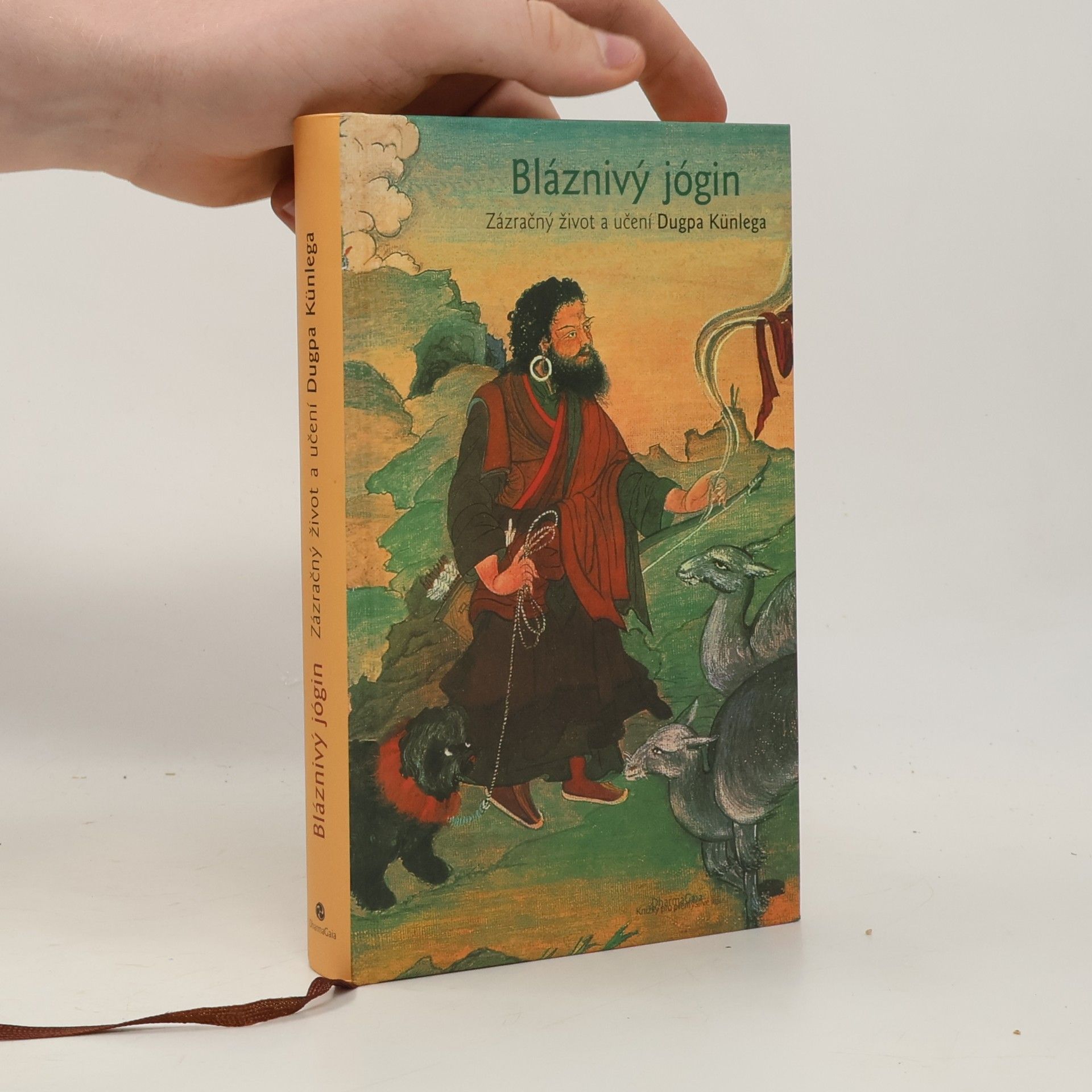Various authors Bláznivý jógin