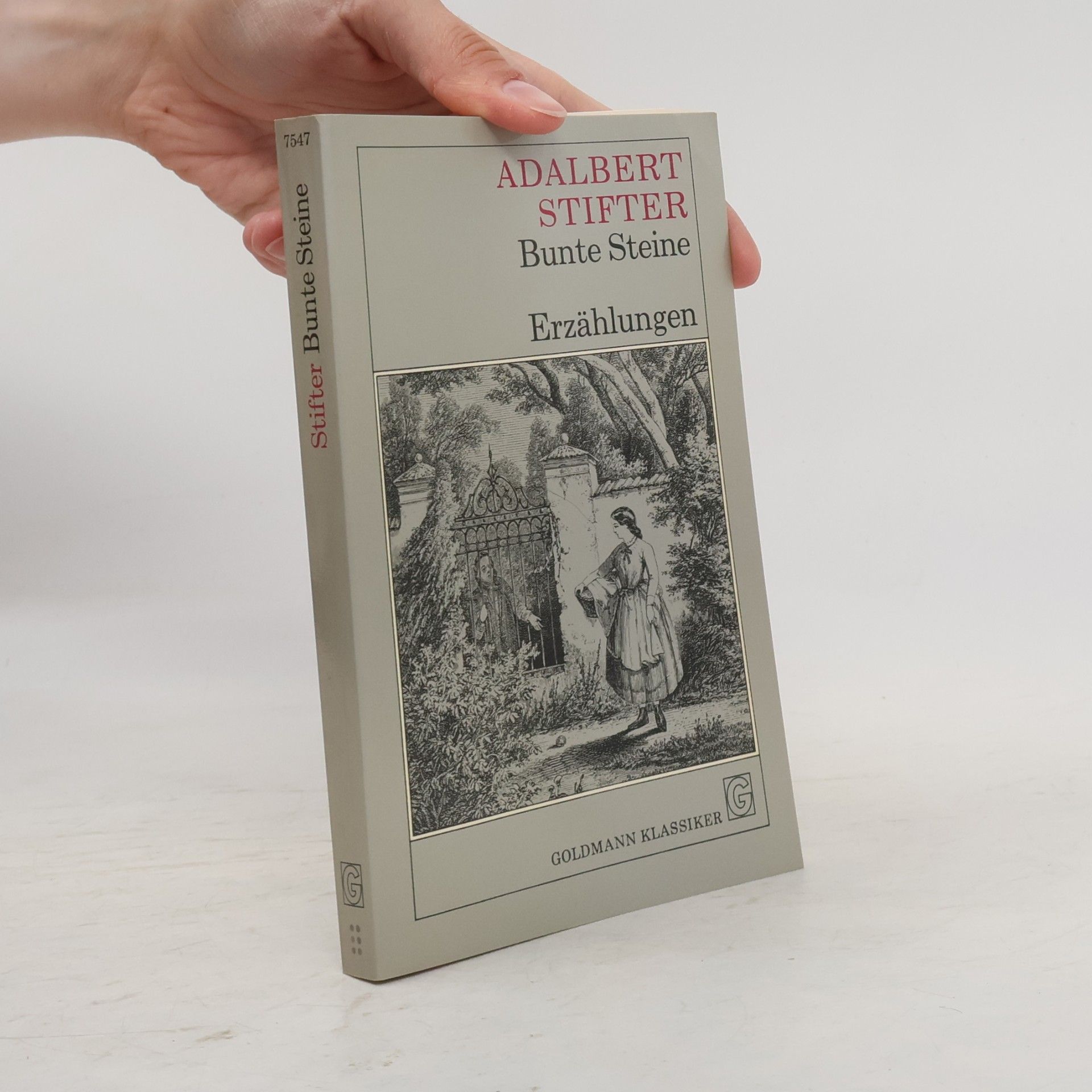 Adalbert Stifter Bunte Steine