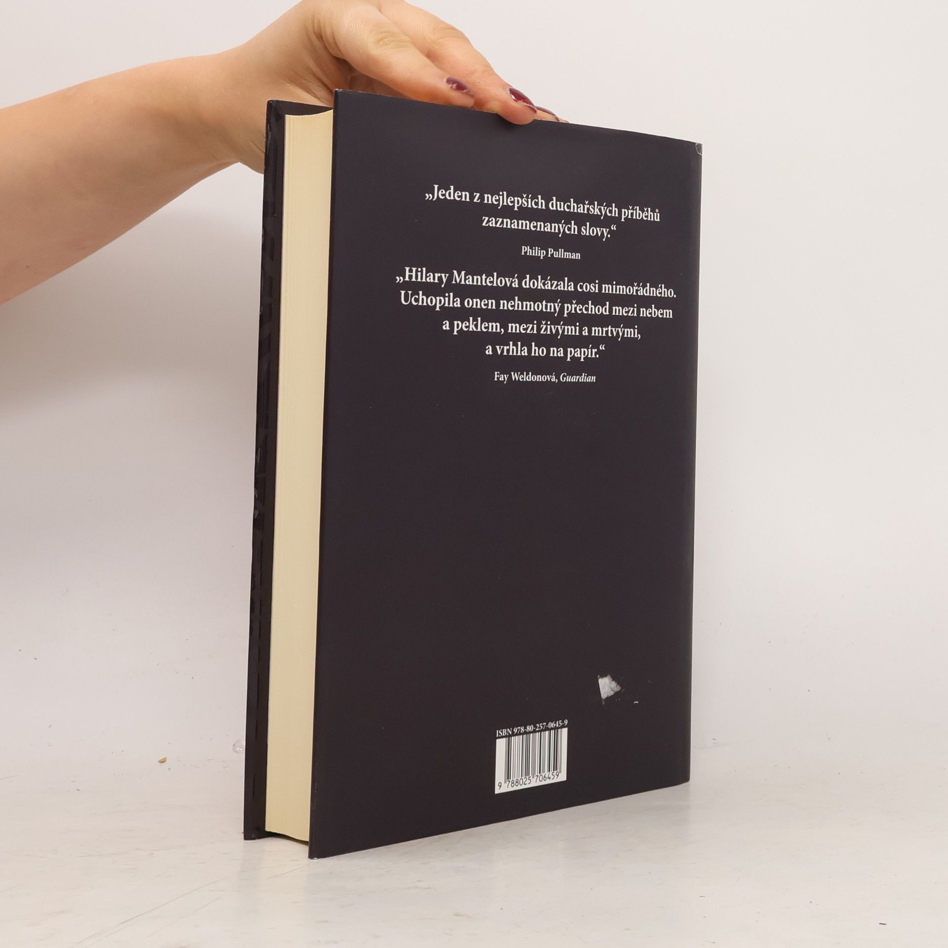Hilary Mantel Za temnotou