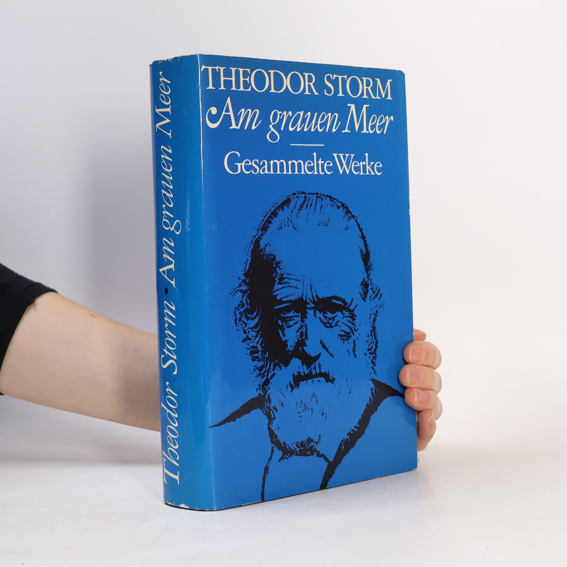 Theodor Storm Am Grauen Meer