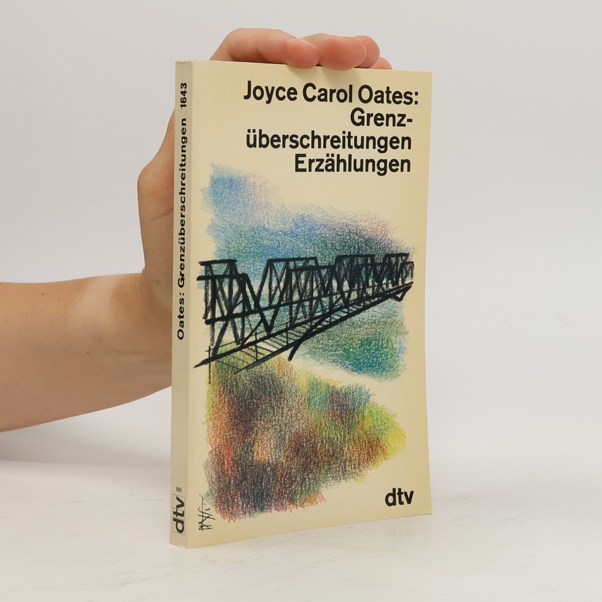 Joyce Carol Oates Grenzüberschreitungen