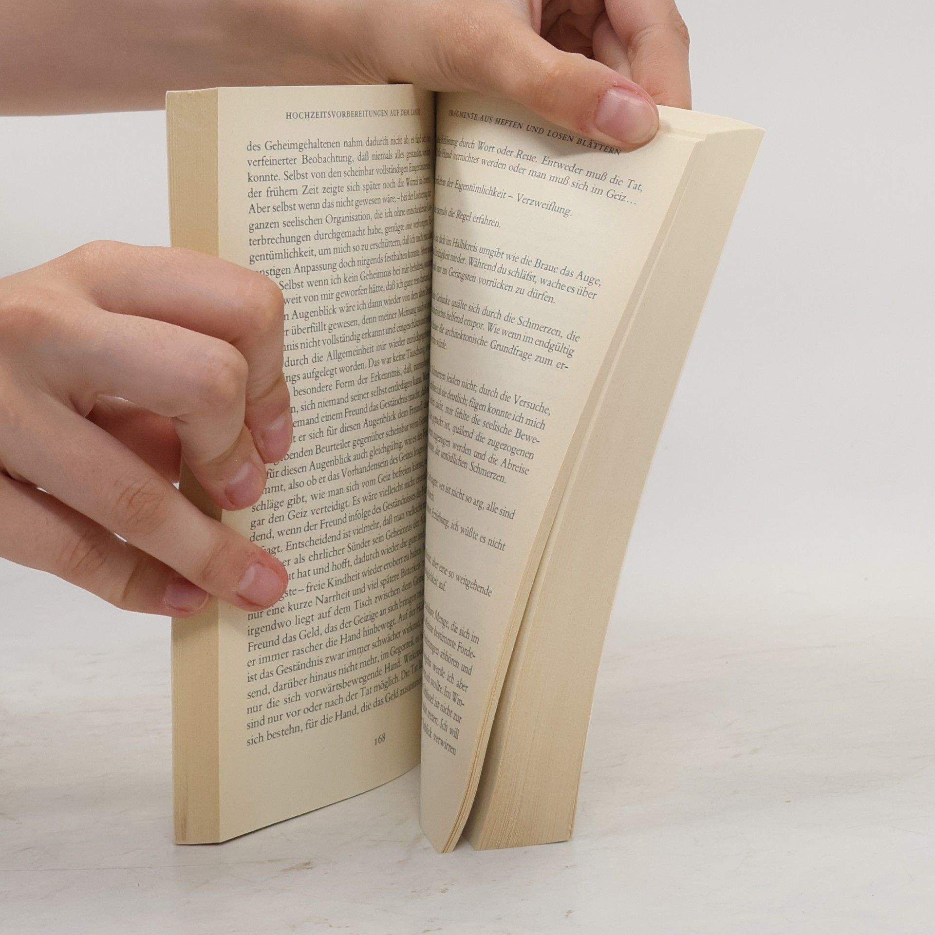 Franz Kafka Hochzeitsvorbereitungen auf dem Lande und andere Prosa aus dem Nachlass
