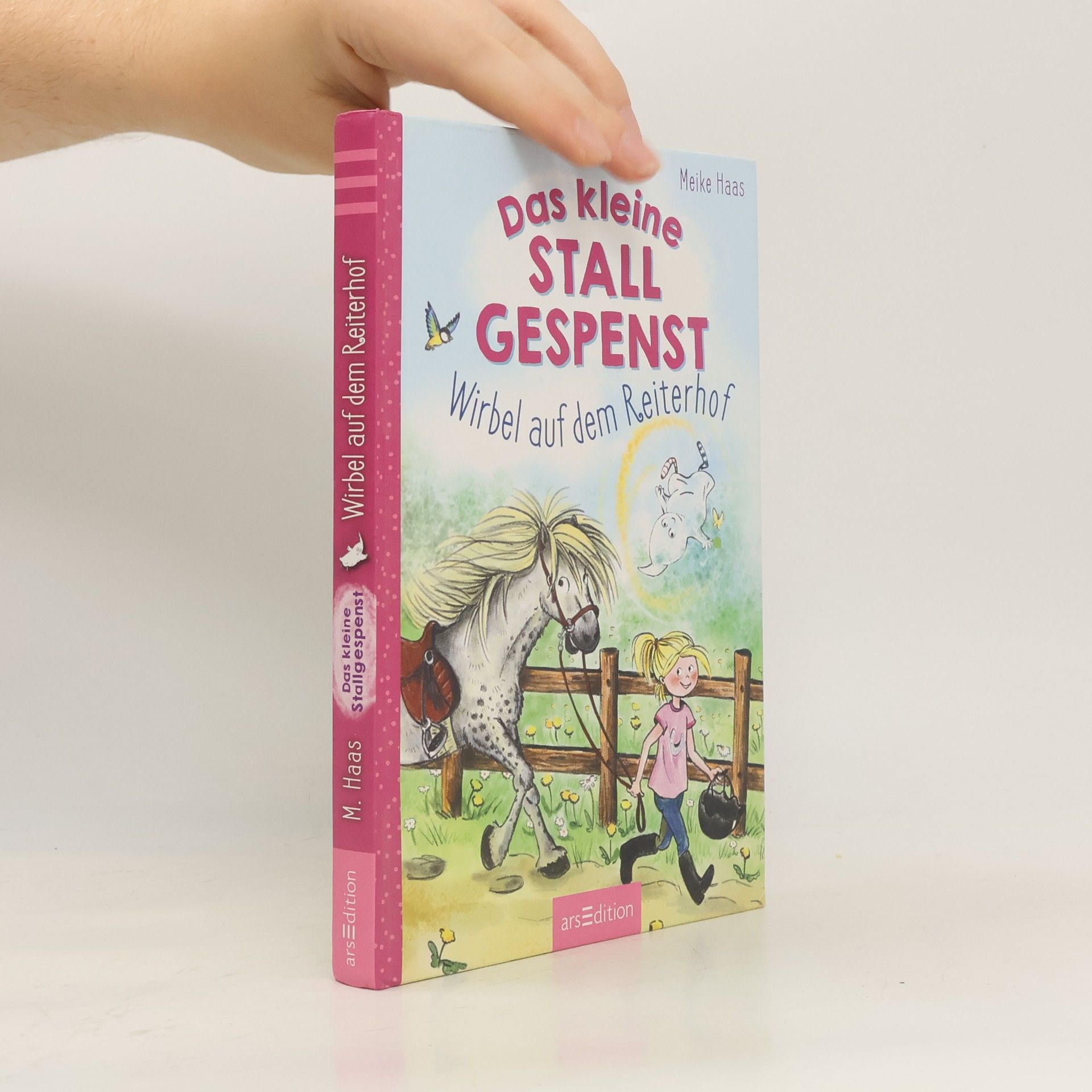 Meike Haas Das kleine Stallgespenst - Wirbel auf dem Reiterhof (Das kleine Stallgespenst)