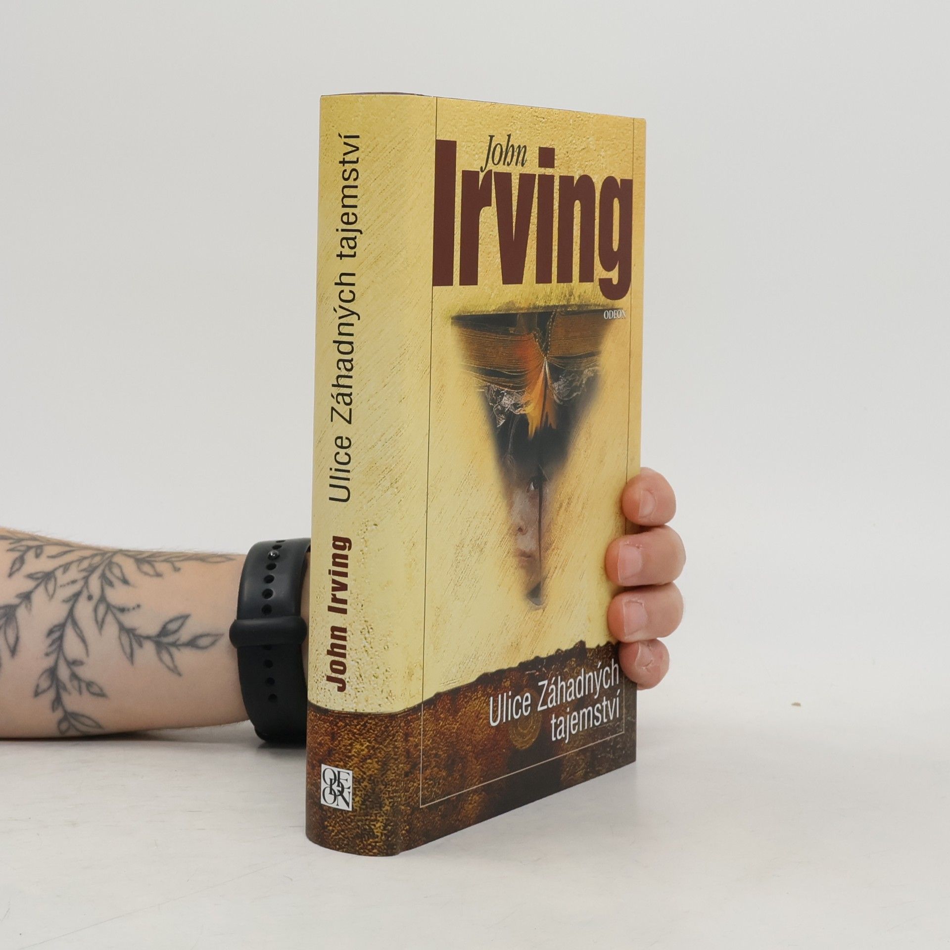 John Irving Ulice Záhadných tajemství