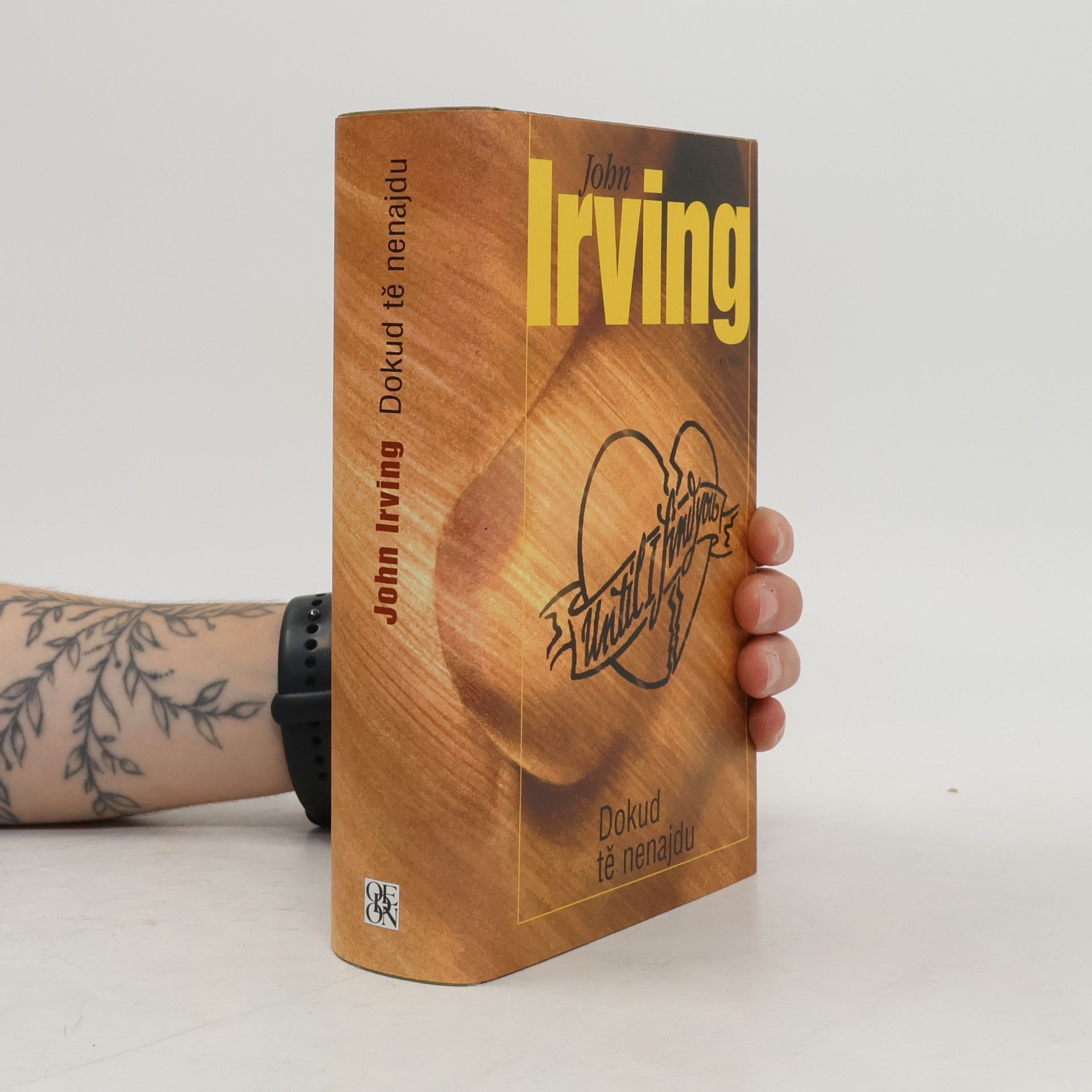 John Irving Dokud tě nenajdu
