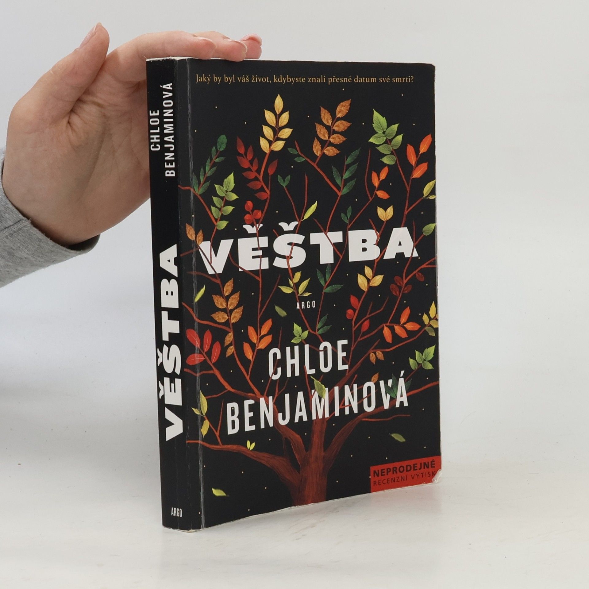 Chloe Benjamin Věštba
