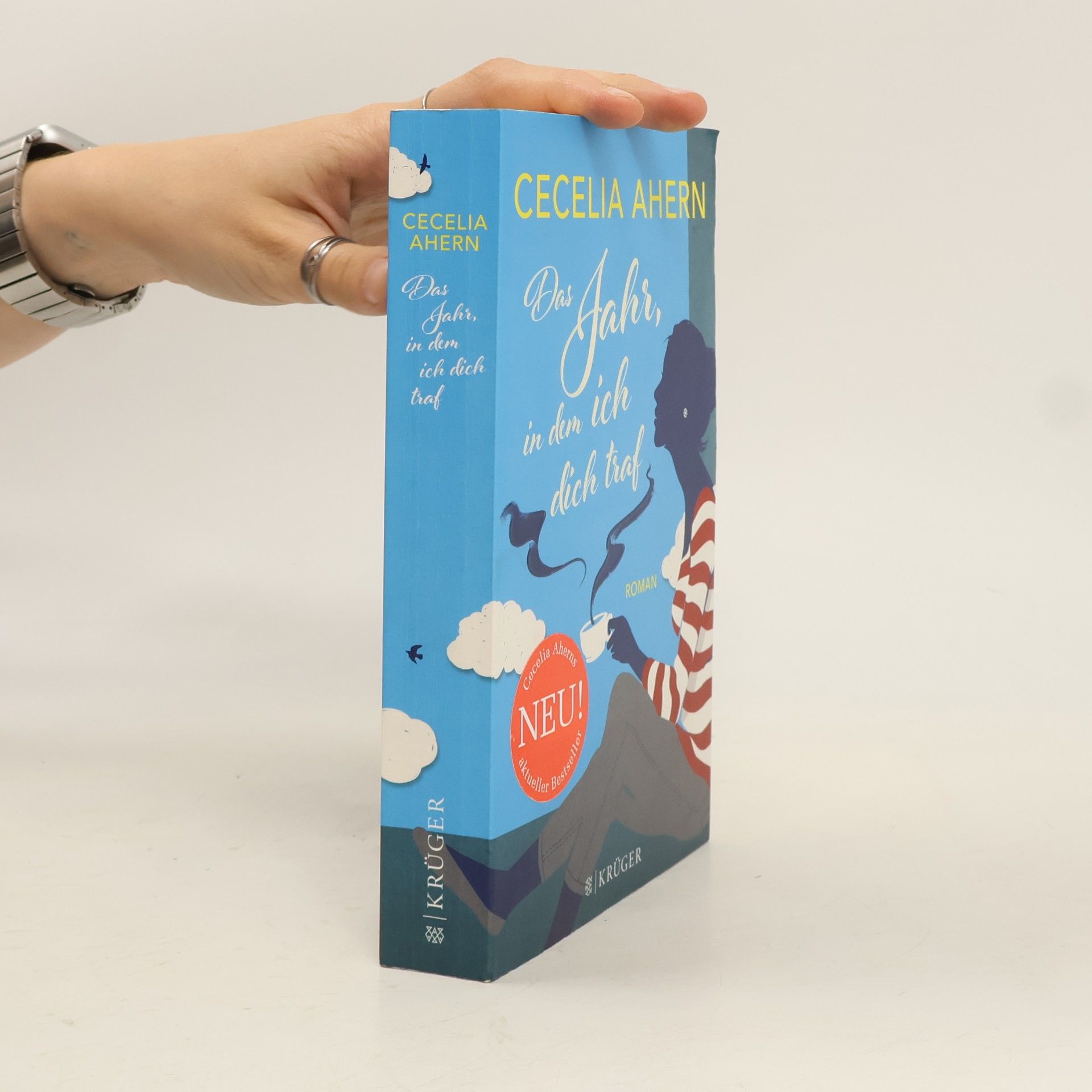 Cecelia Ahern Das Jahr, in dem ich dich traf