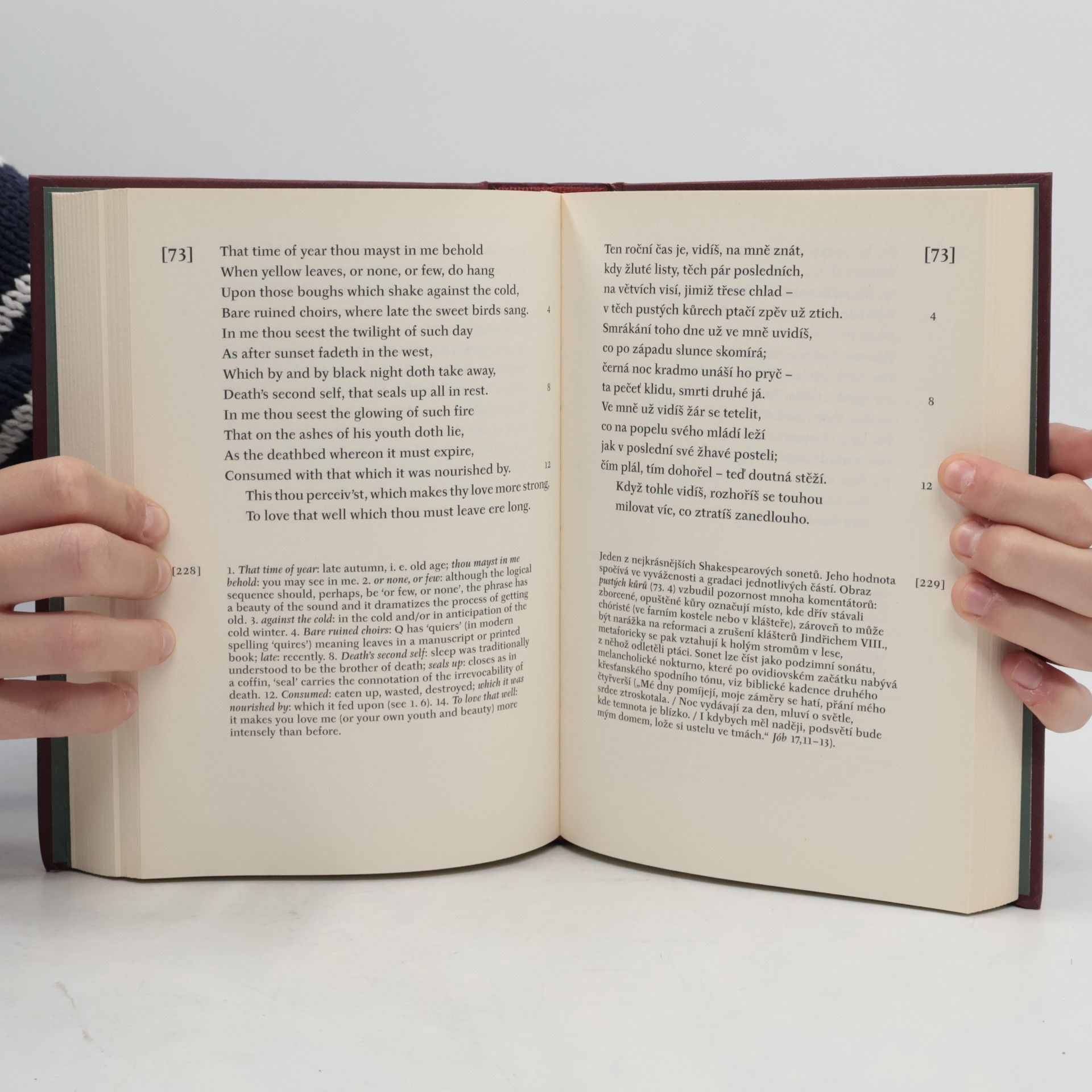 William Shakespeare Sonety. The sonnets