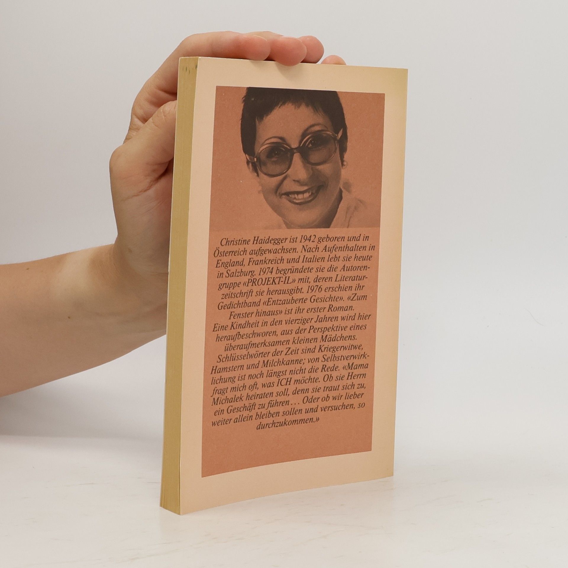 Christine Haidegger Zum Fenster hinaus