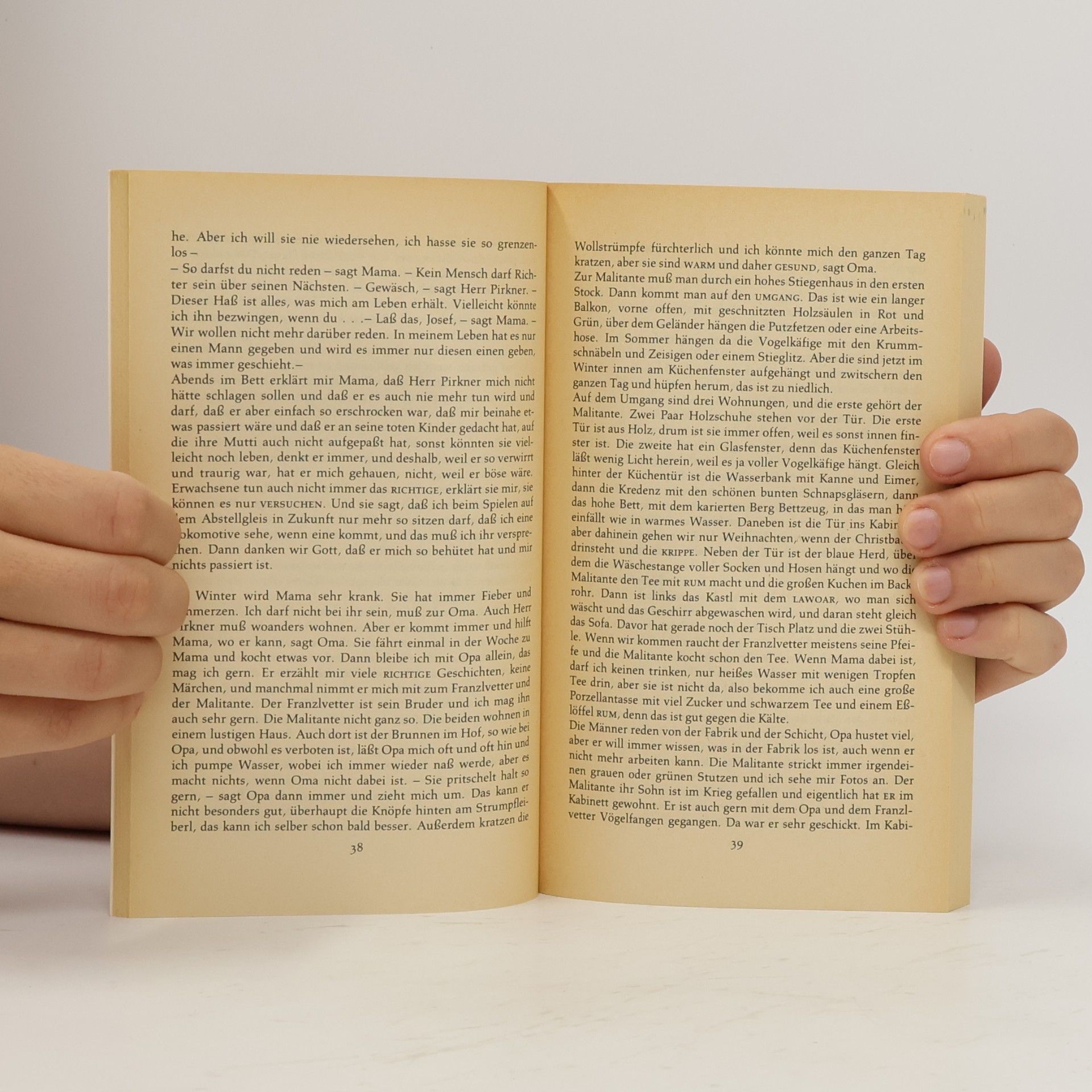 Christine Haidegger Zum Fenster hinaus